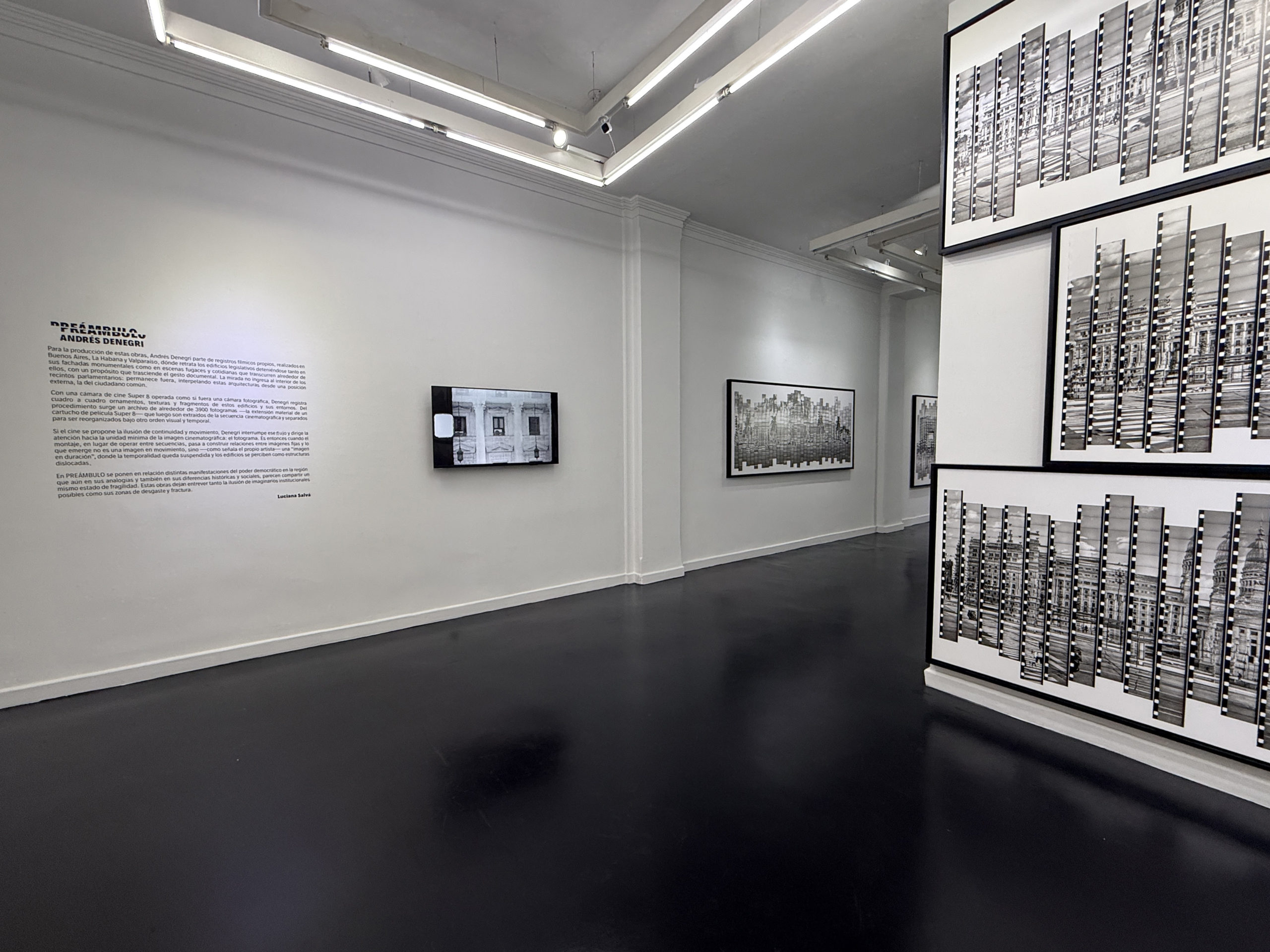 Rolf Art | Preambulo - Andrés Denegri | Installation view 12