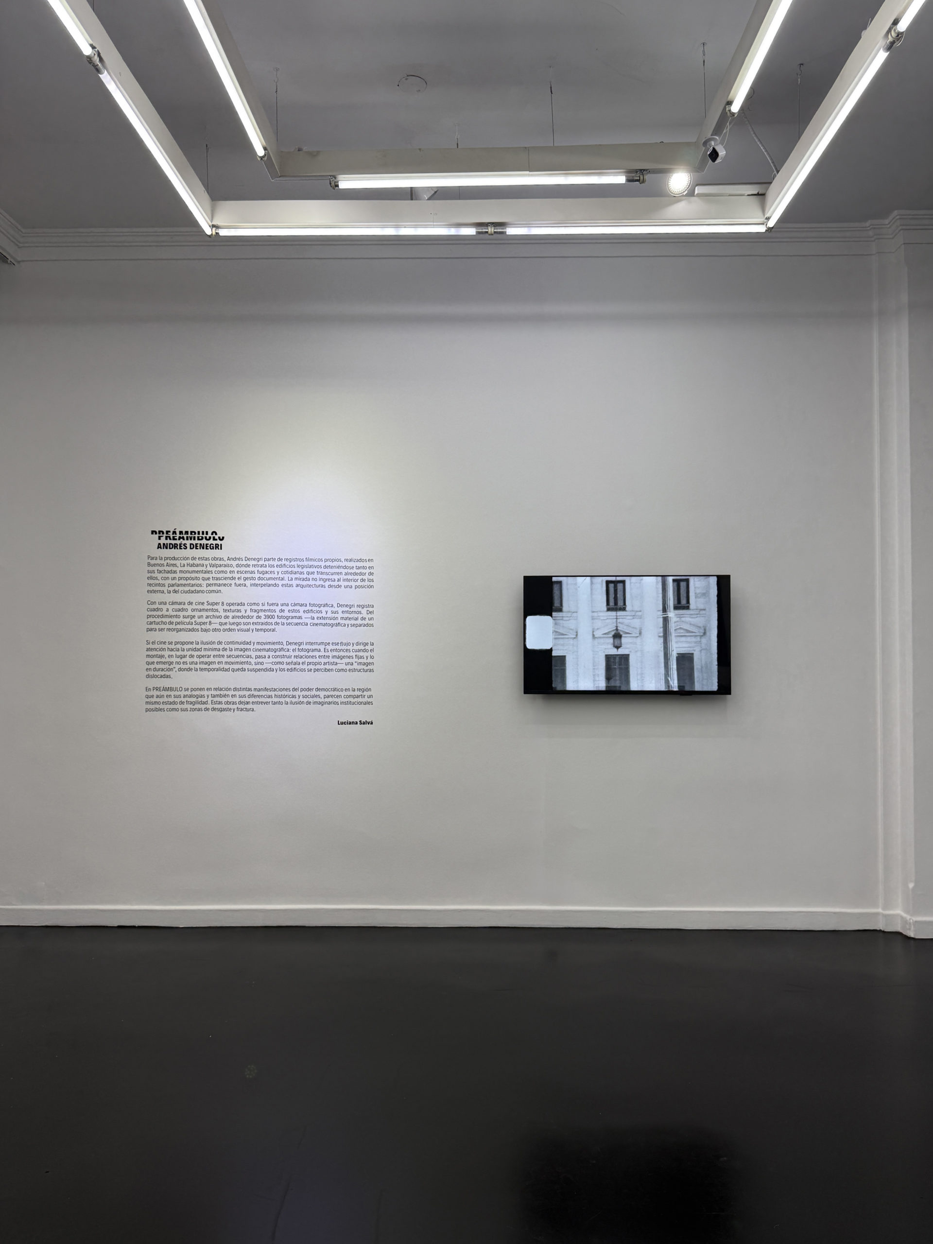 Rolf Art | Preambulo - Andrés Denegri | Installation view 13