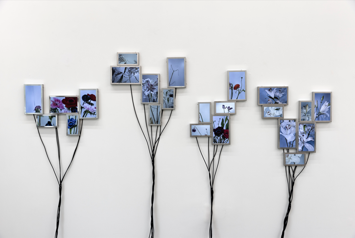 Home – Slider de Ferias y/o Exhibiciones