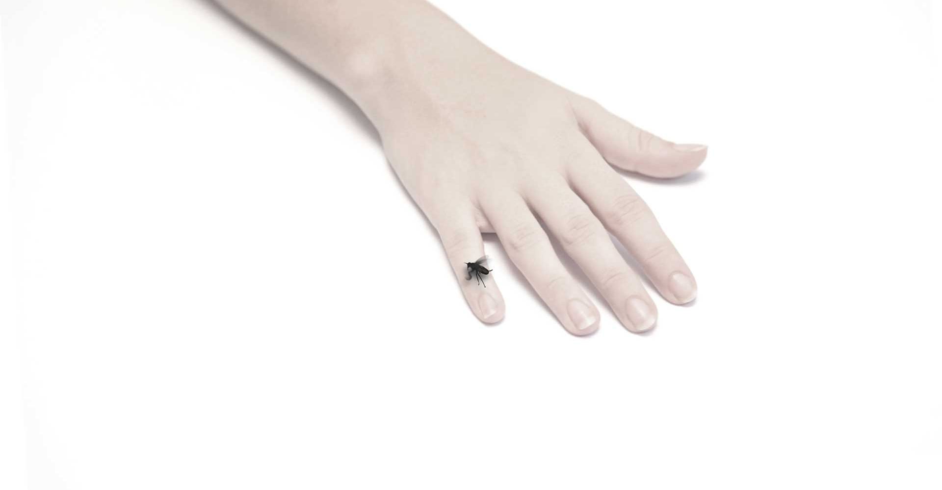 Home – Slider de Ferias y/o Exhibiciones