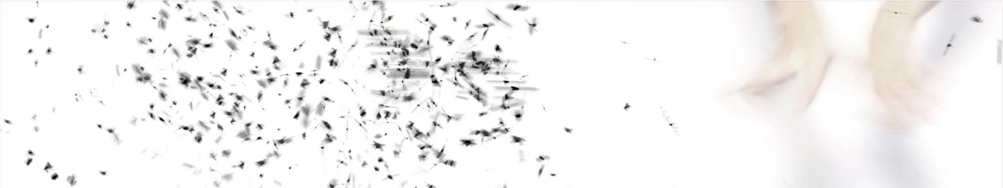 Home – Slider de Ferias y/o Exhibiciones