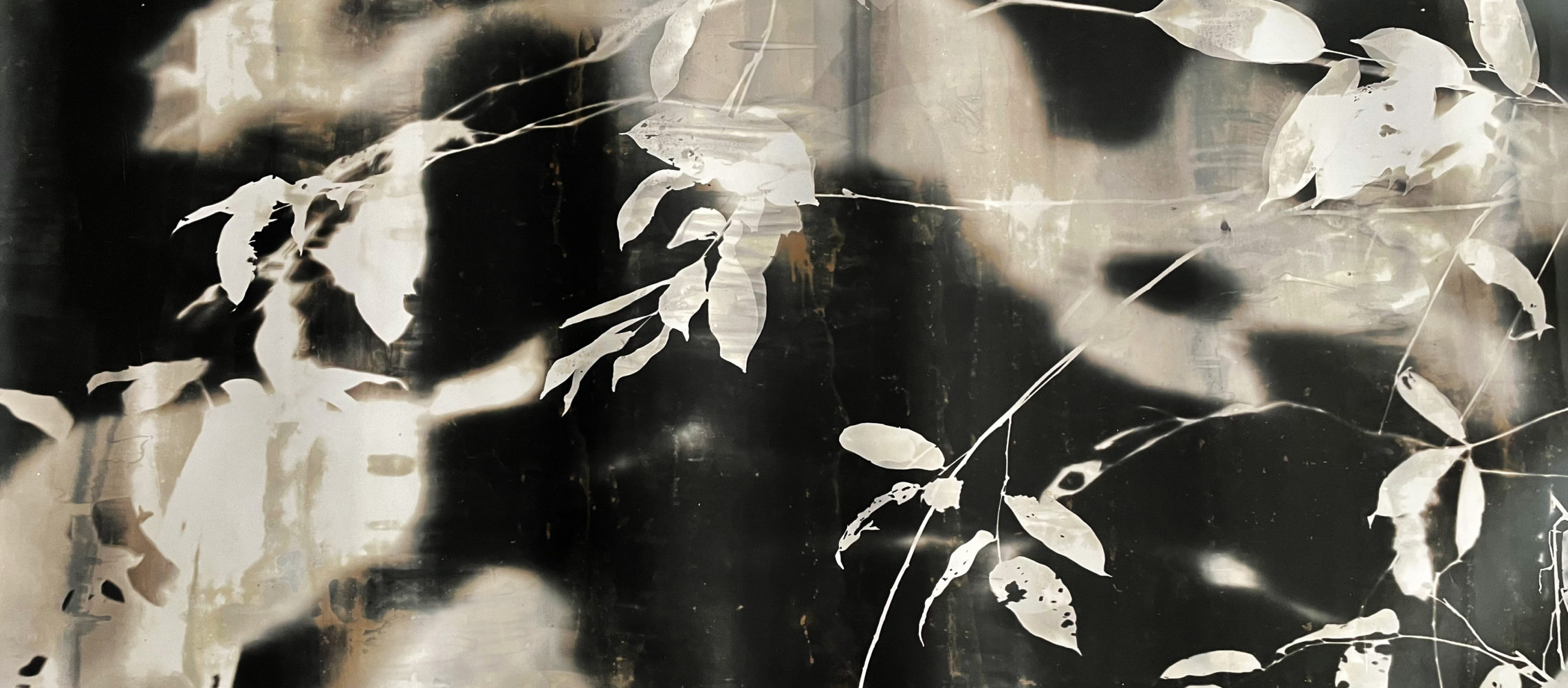 Home – Slider de Ferias y/o Exhibiciones