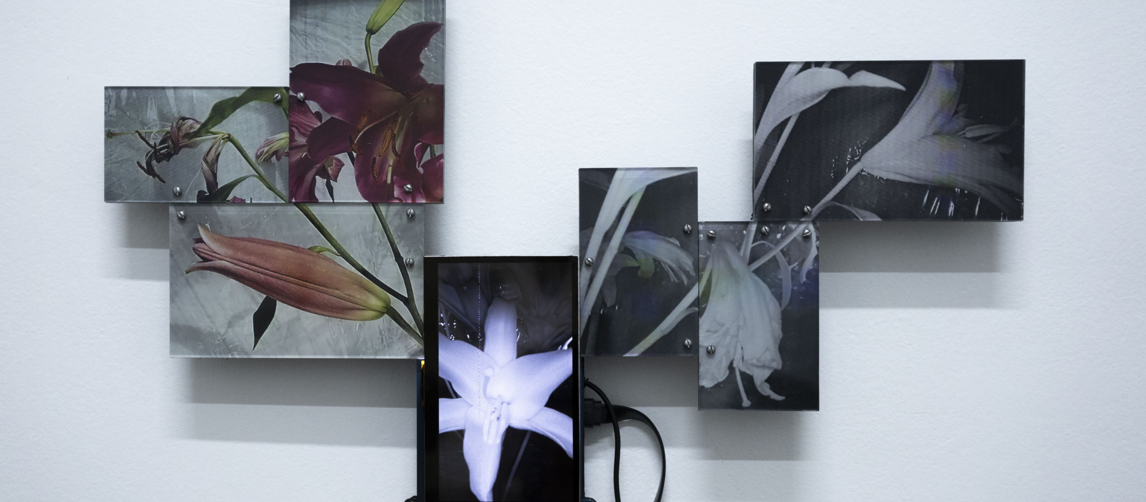 Home – Slider de Ferias y/o Exhibiciones