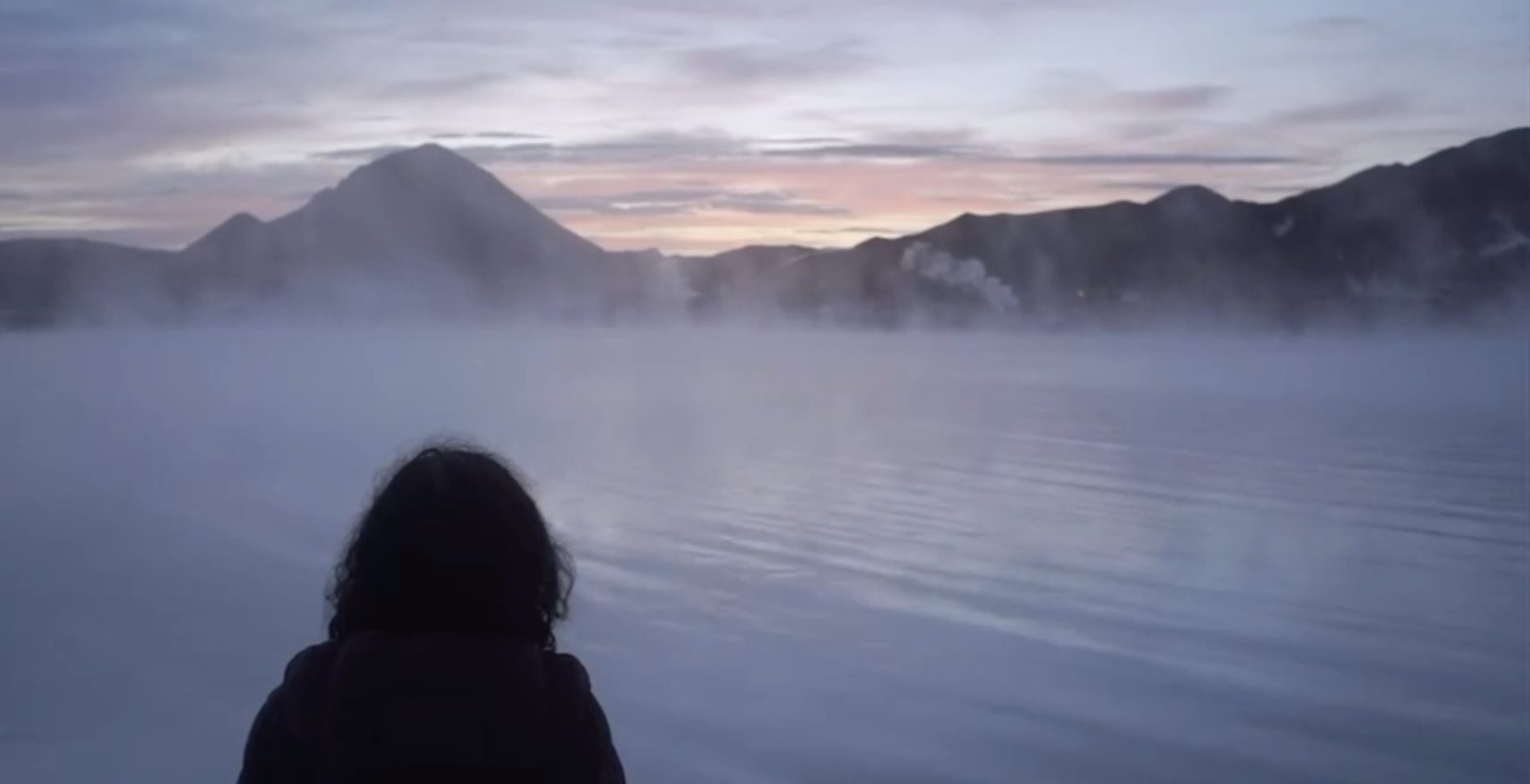 ADRIANA LESTIDO <BR> YO Y LA QUE FUÍ: RETRATO SOBRE ADRIANA LESTIDO