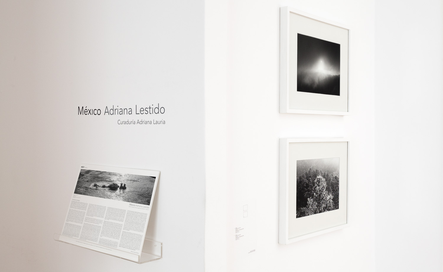 Rolf Art - Adriana Lestido - Mexico - mar-jun 2015 01