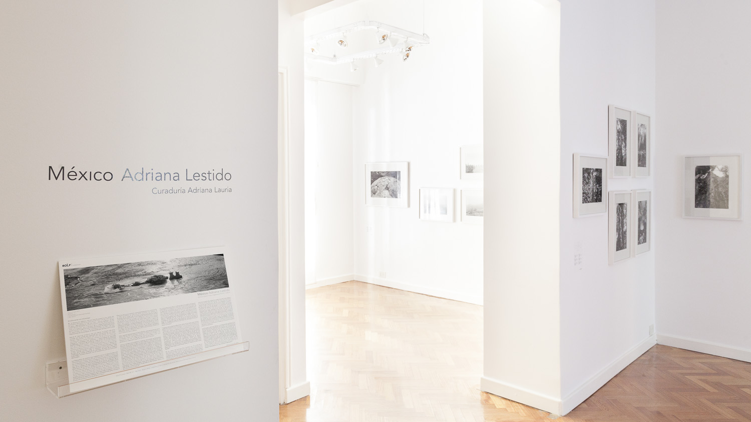 Rolf Art - Adriana Lestido - Mexico - mar-jun 2015 02