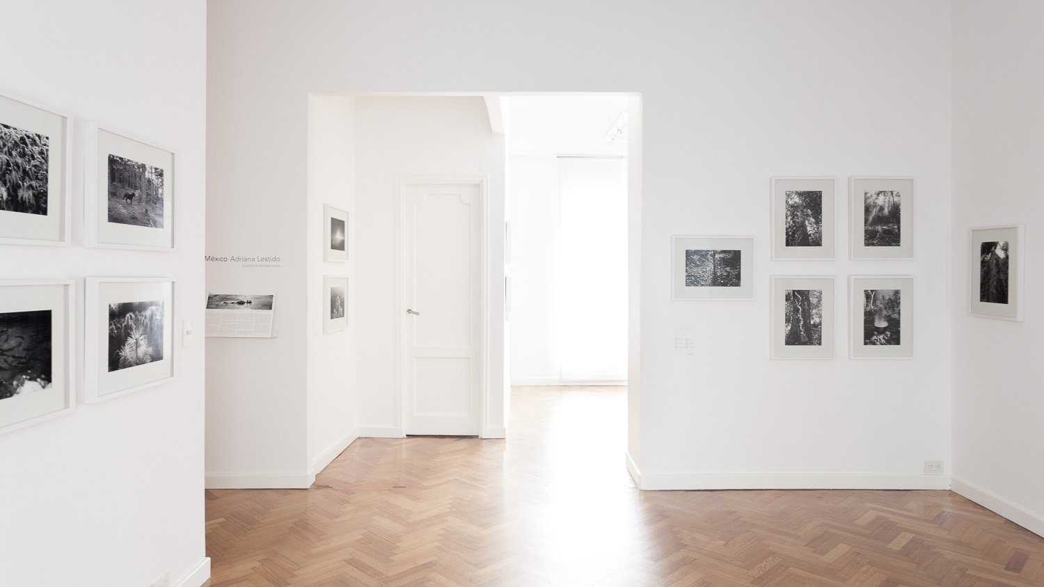 Rolf Art - Adriana Lestido - Mexico - mar-jun 2015 05