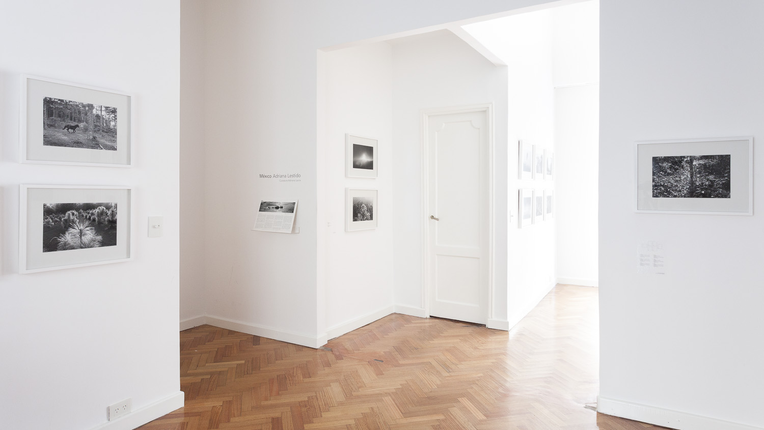 Rolf Art - Adriana Lestido - Mexico - mar-jun 2015 06