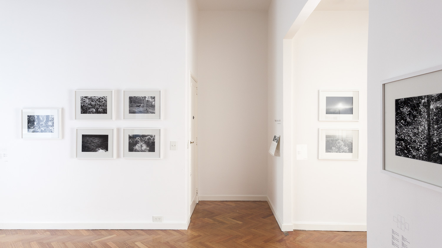 Rolf Art - Adriana Lestido - Mexico - mar-jun 2015 09