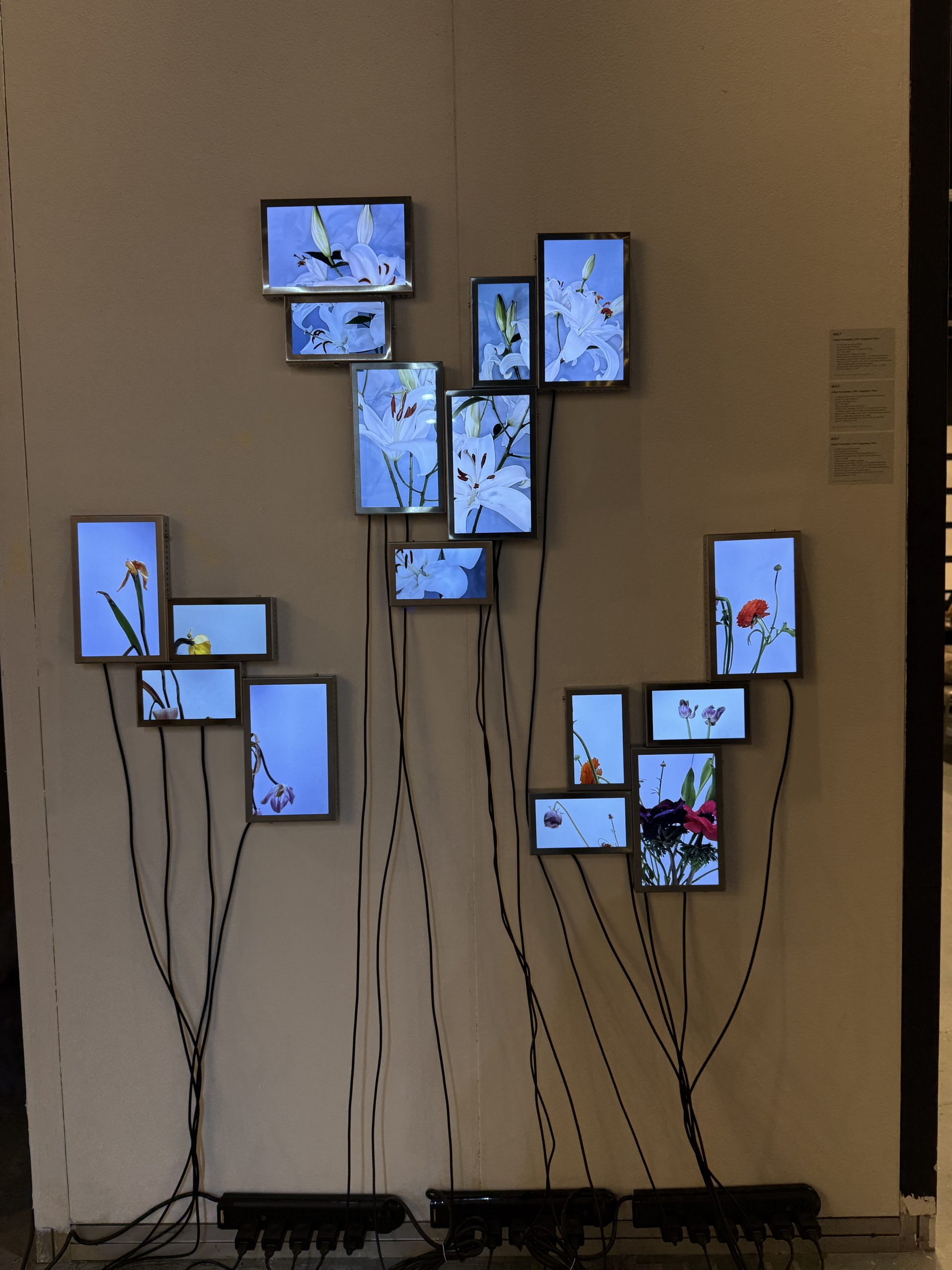 Rolf Art | Arteba 2025 | Installation view 32