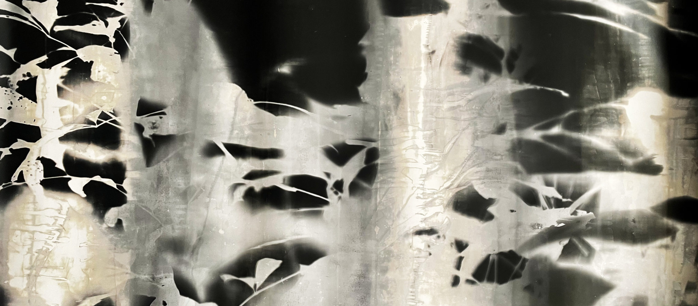 Home – Slider de Ferias y/o Exhibiciones