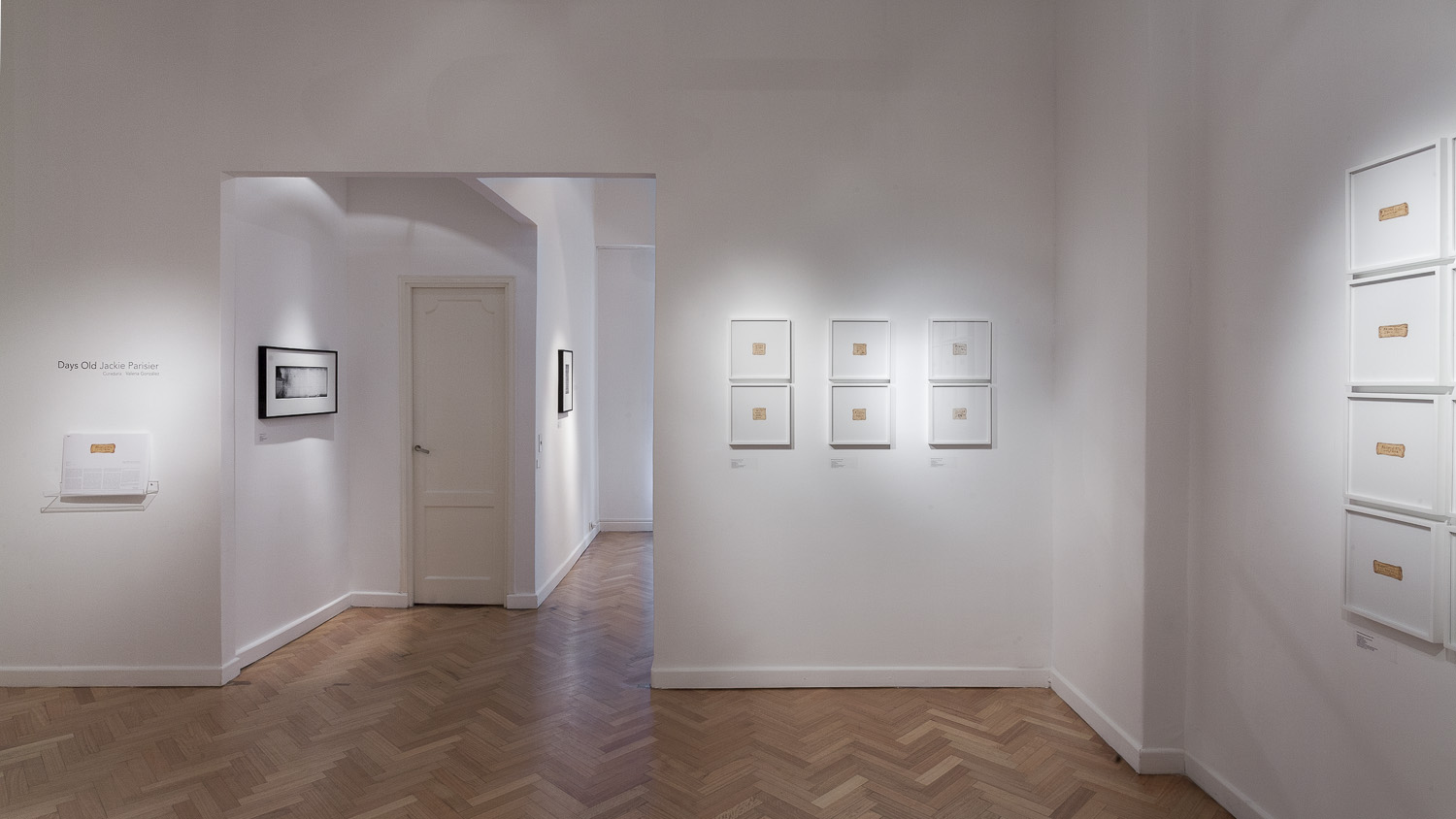 javier agustin rojas_rolf parisier_IMG_5464_low