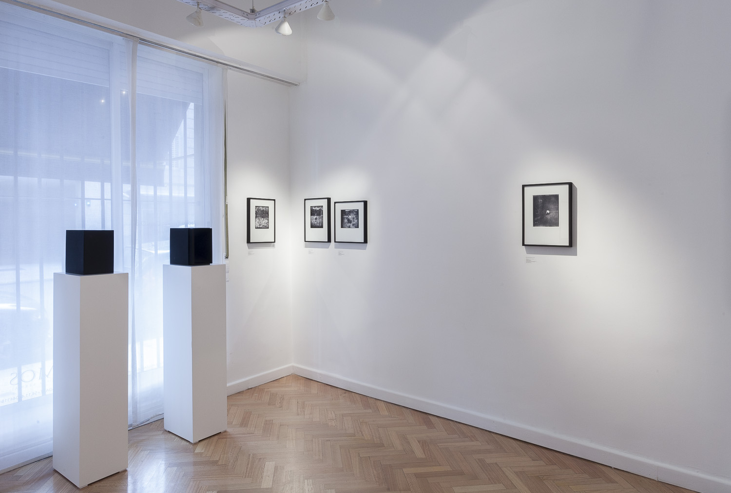 javier agustin rojas_rolf parisier_IMG_5480_low