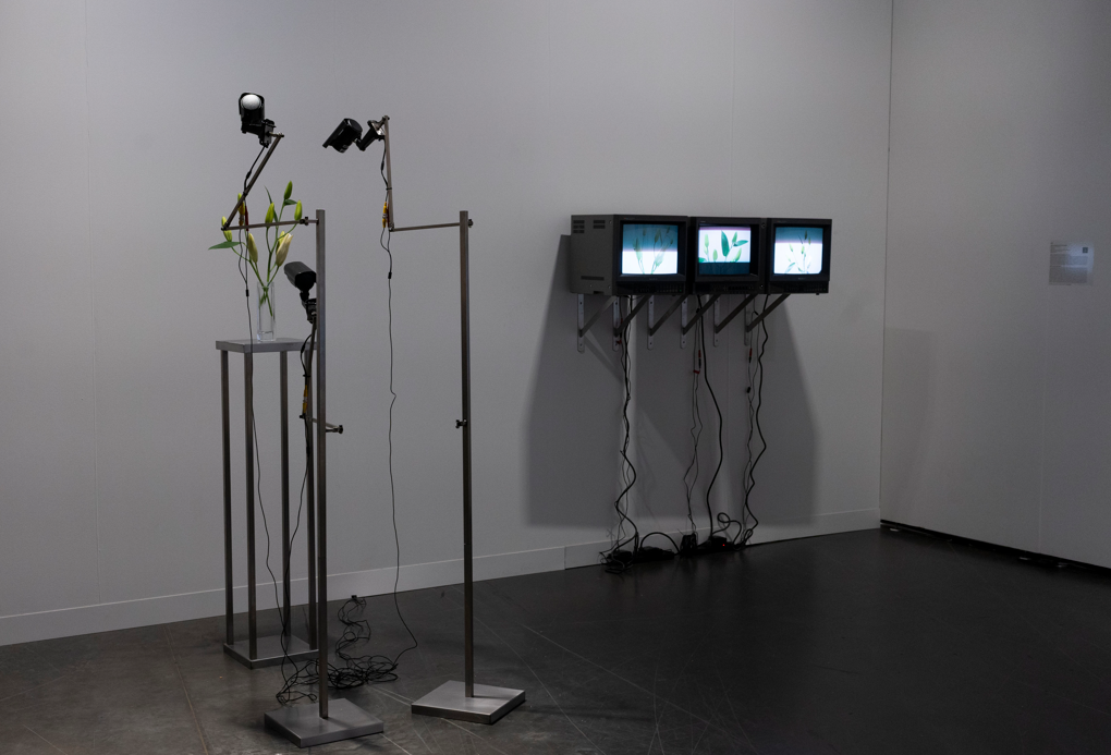 Home – Slider de Ferias y/o Exhibiciones