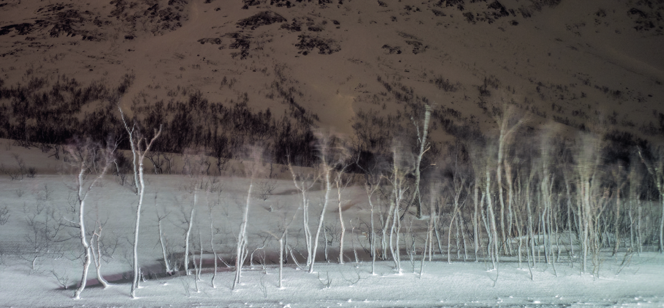 Home – Slider de Ferias y/o Exhibiciones