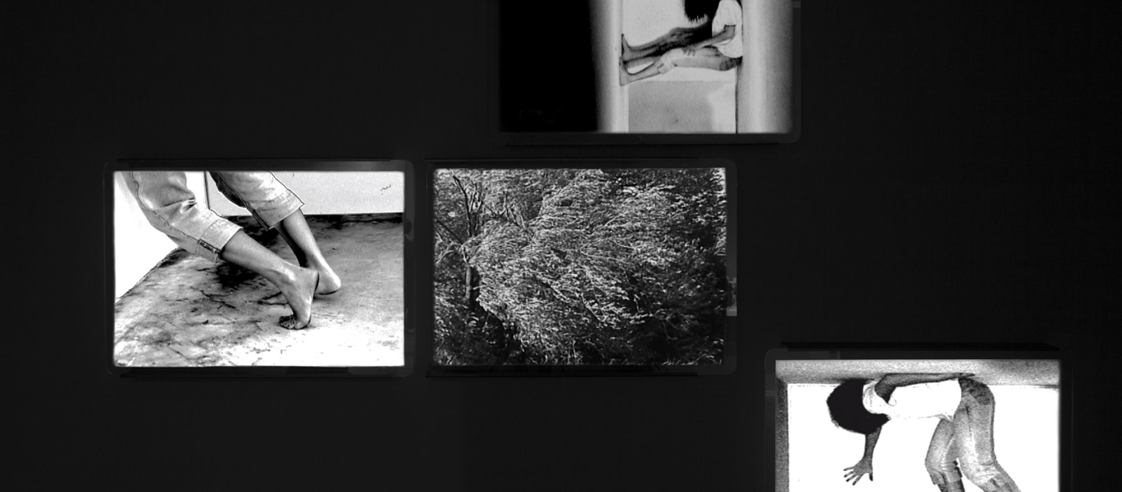 Home – Slider de Ferias y/o Exhibiciones