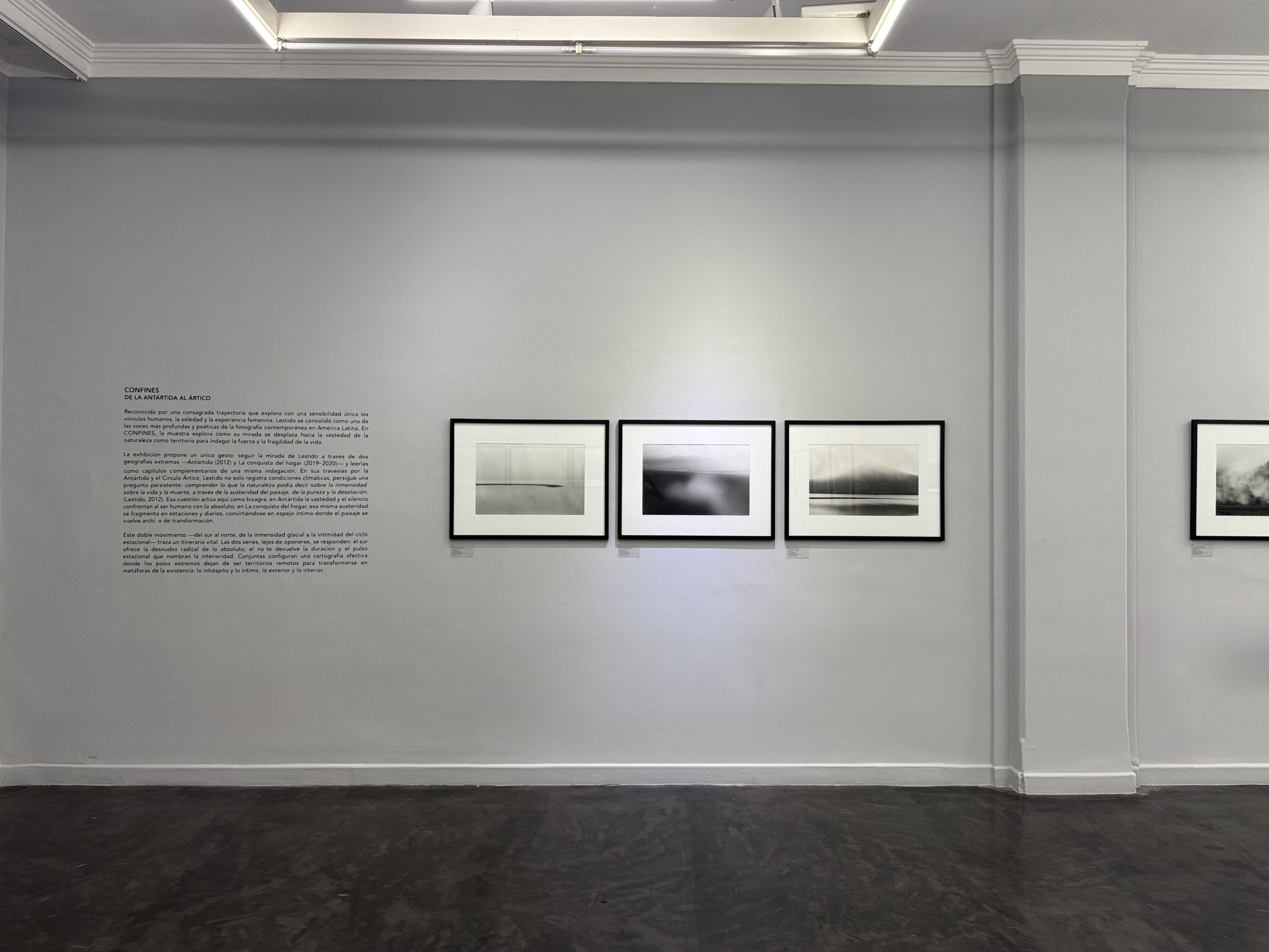 Rolf Art | CONFINES | Installation View #4