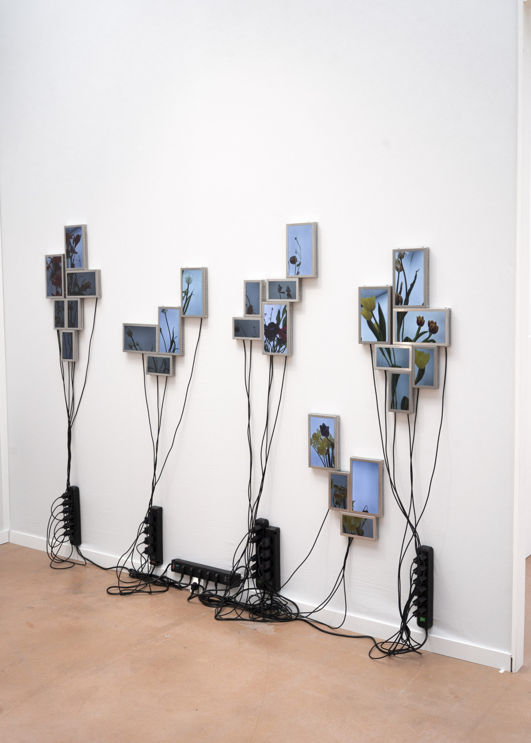 Rolf Art & Tomas Redrado Art | Installation view 11