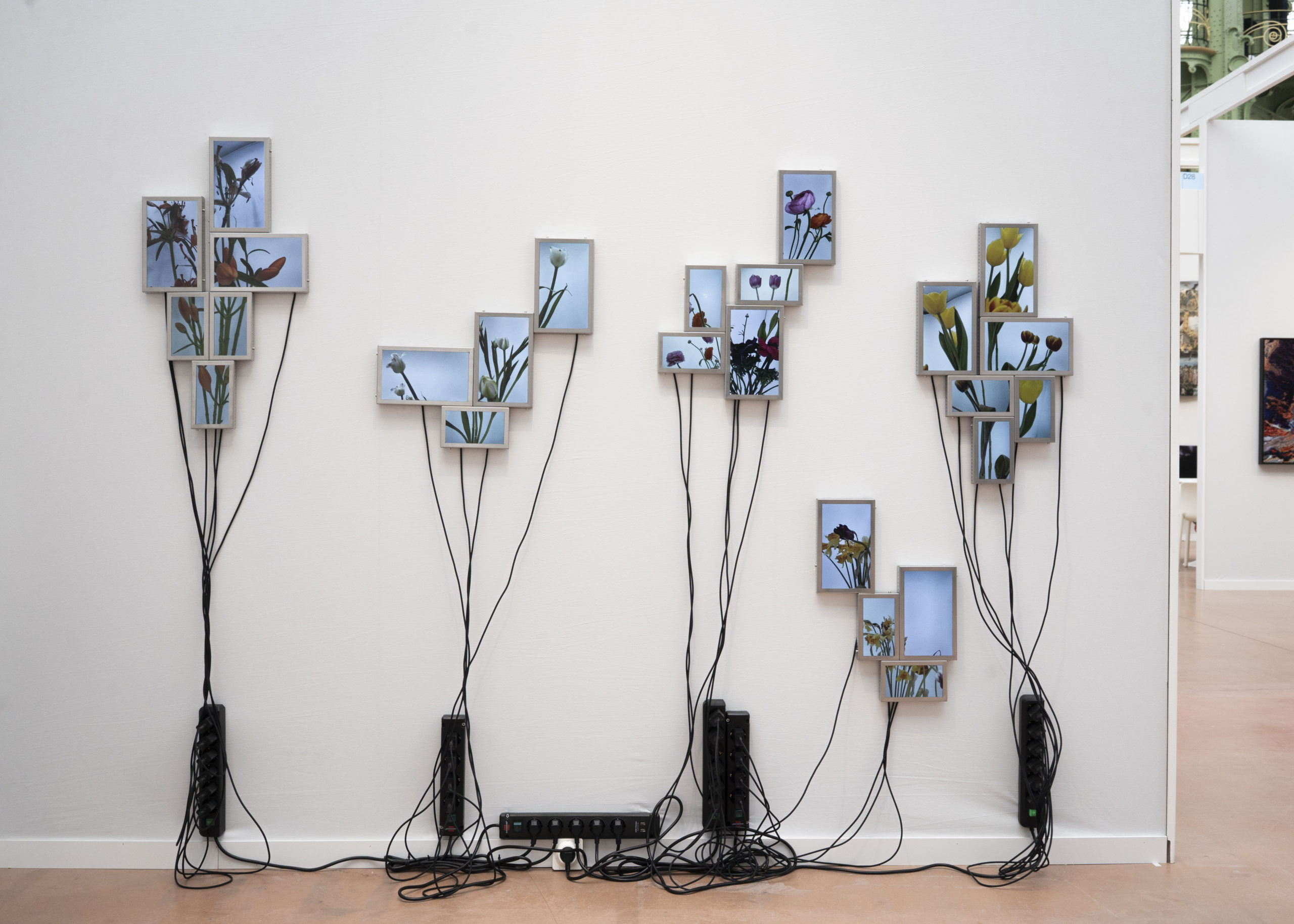 Rolf Art & Tomas Redrado Art | Installation view 13