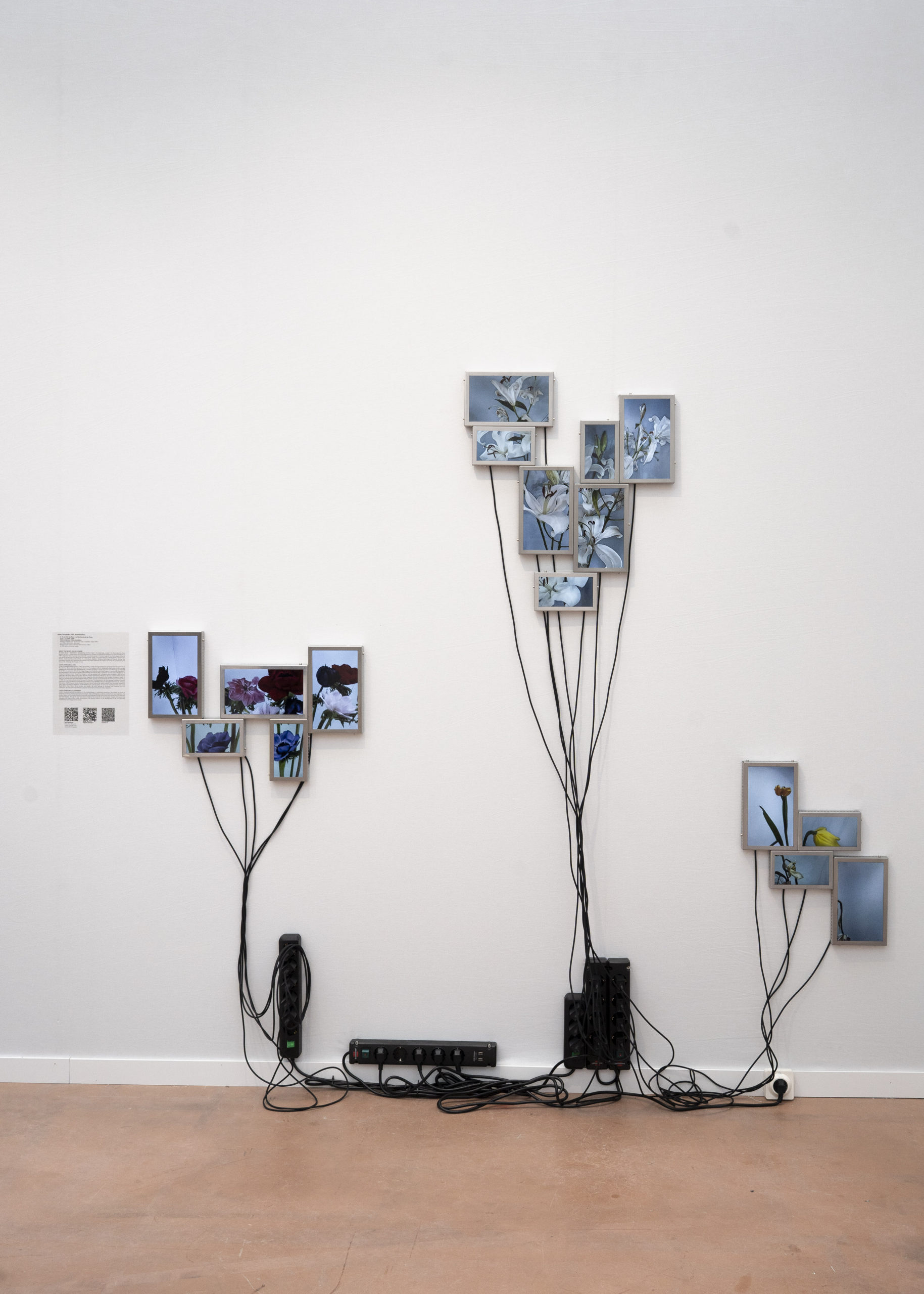 Rolf Art & Tomas Redrado Art | Installation view 14