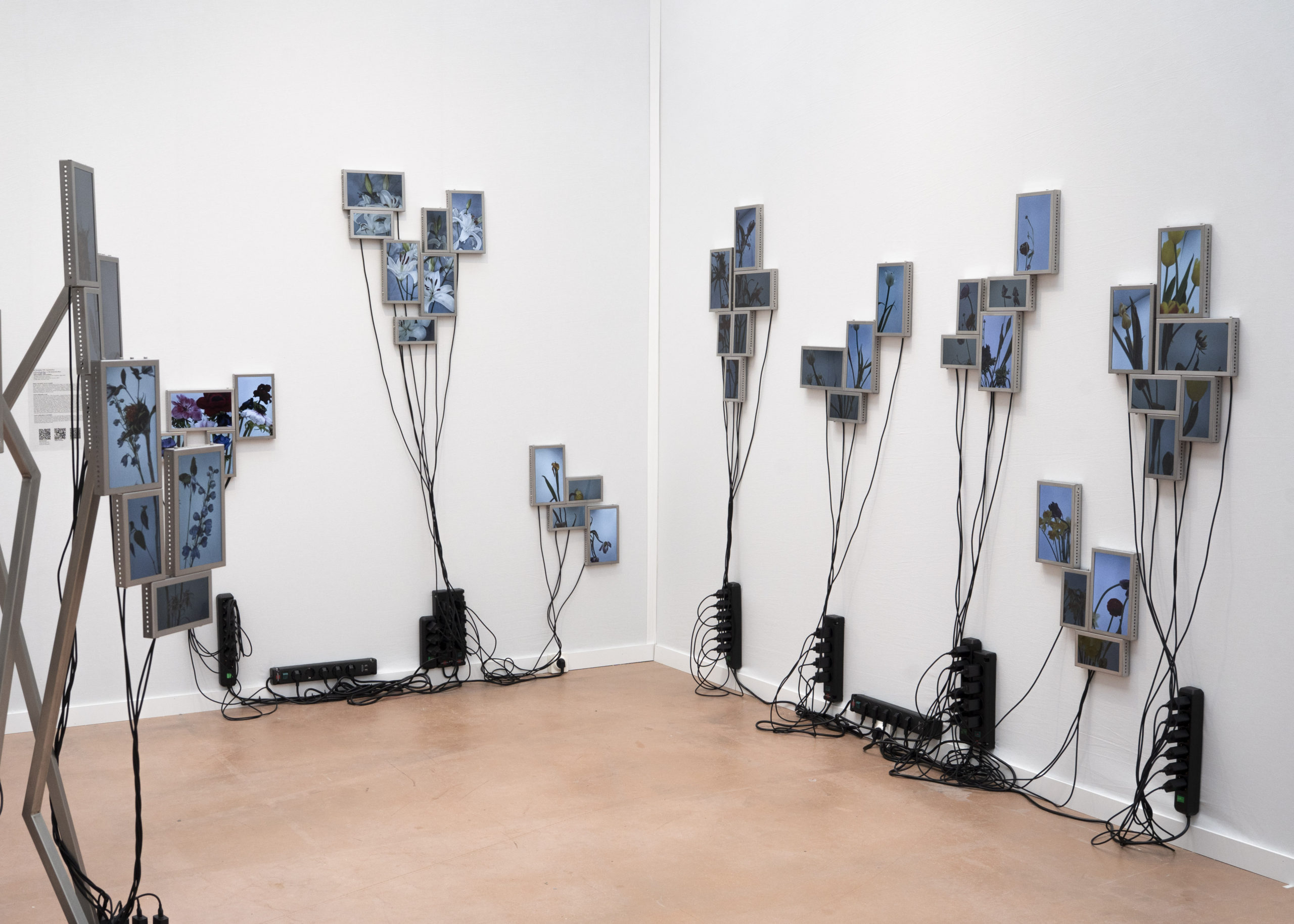 Rolf Art & Tomas Redrado Art | Installation view 17