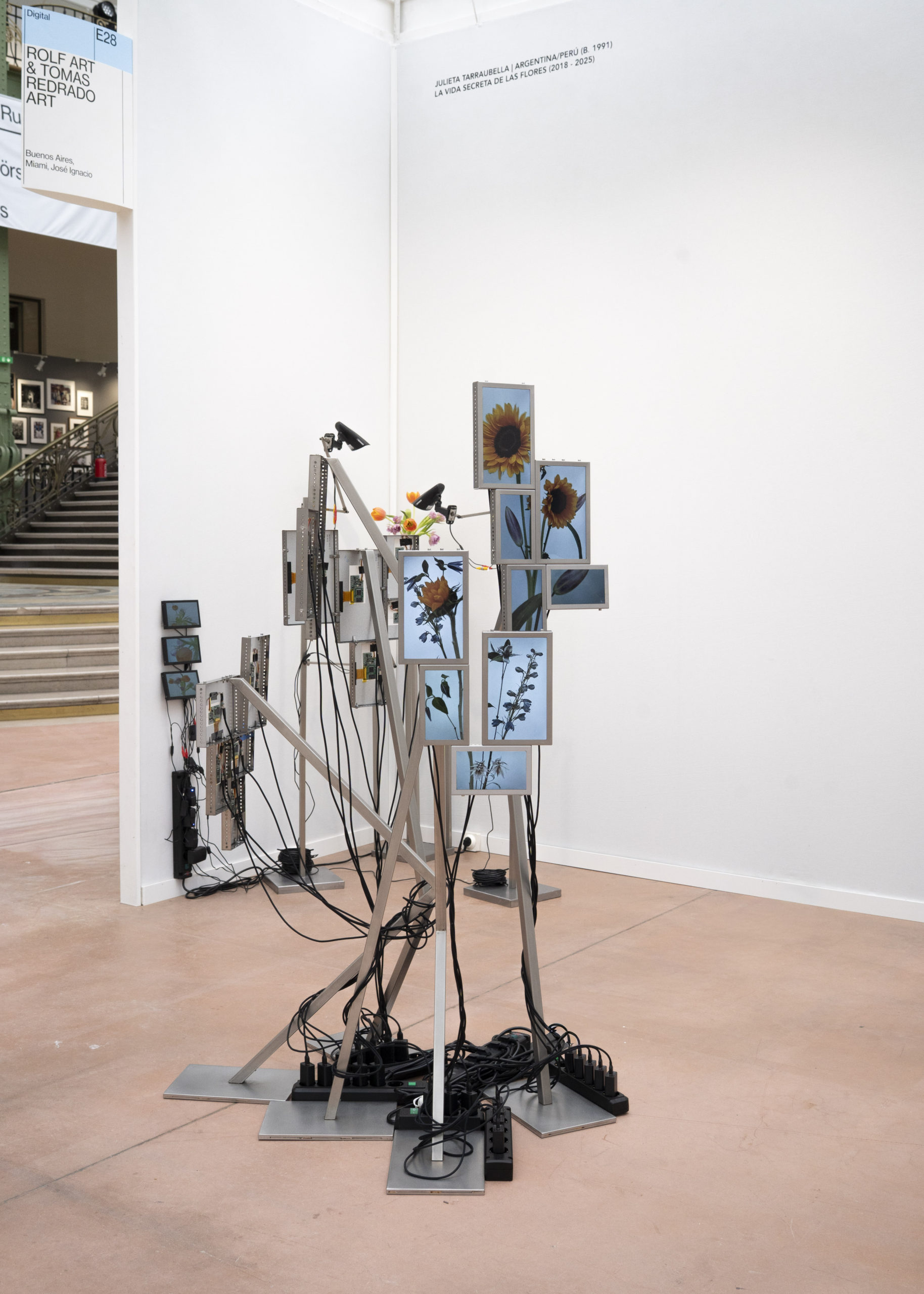 Rolf Art & Tomas Redrado Art | Installation view 18