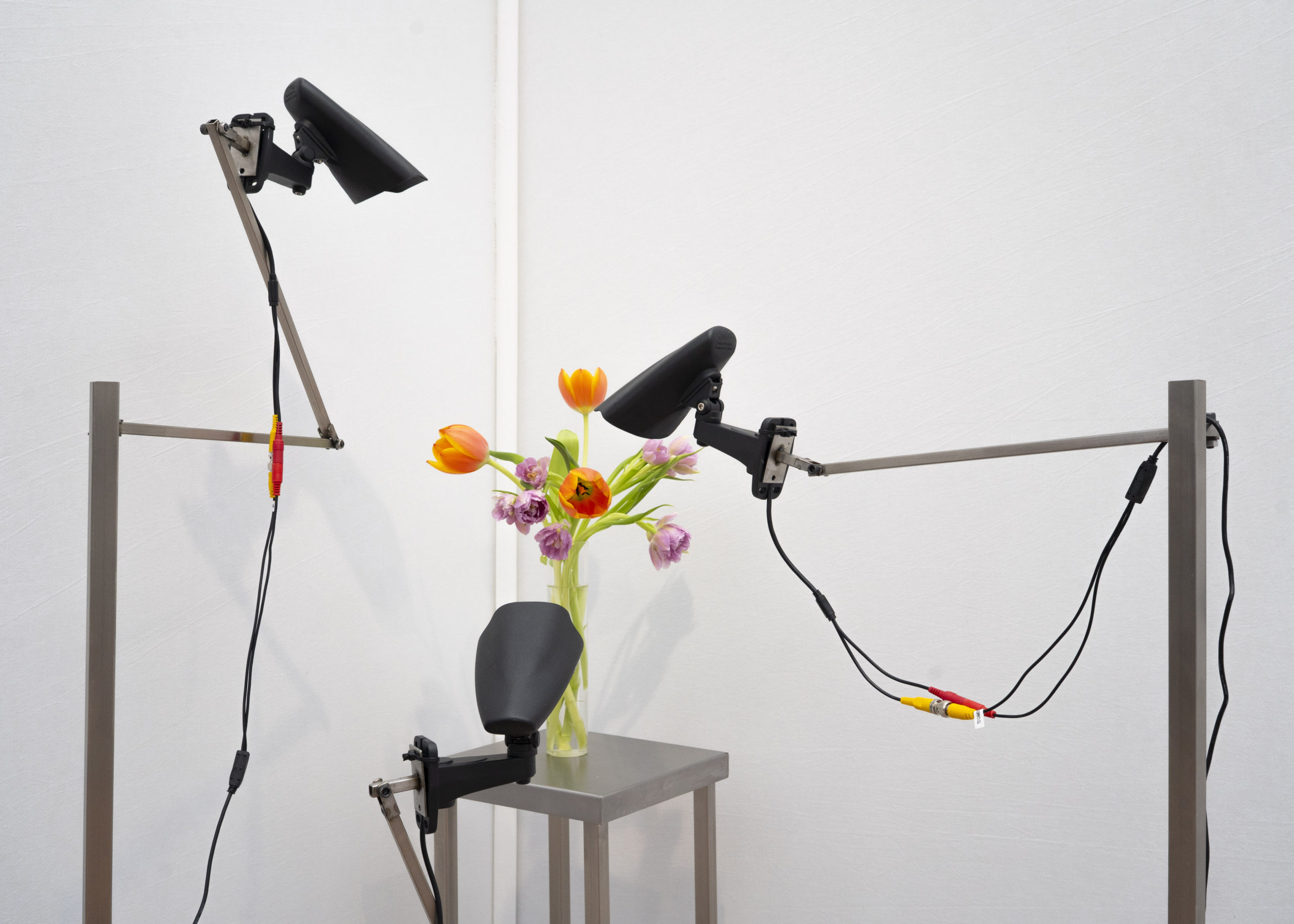 Rolf Art & Tomas Redrado Art | Installation view 20