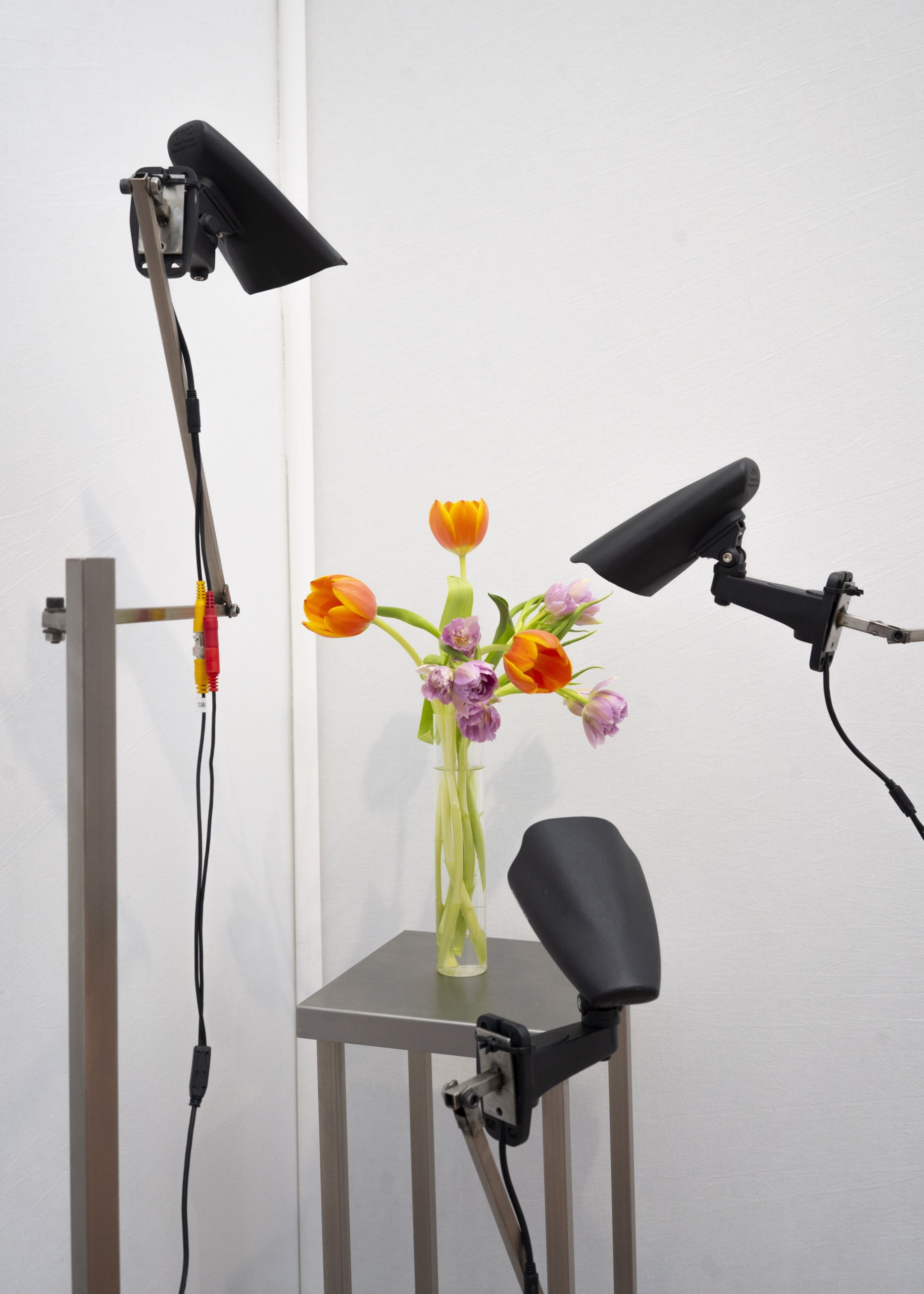 Rolf Art & Tomas Redrado Art | Installation view 21