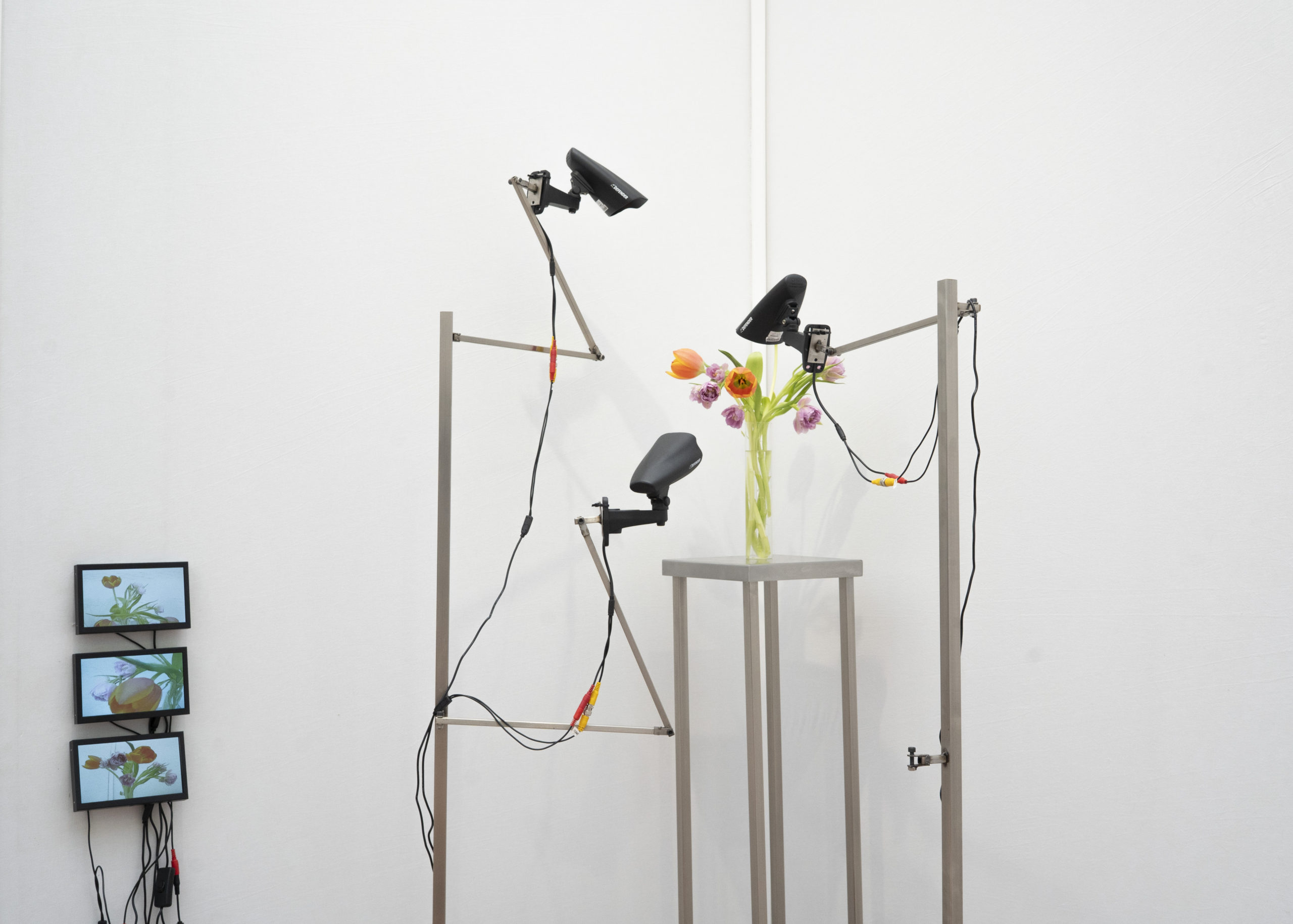 Rolf Art & Tomas Redrado Art | Installation view 22