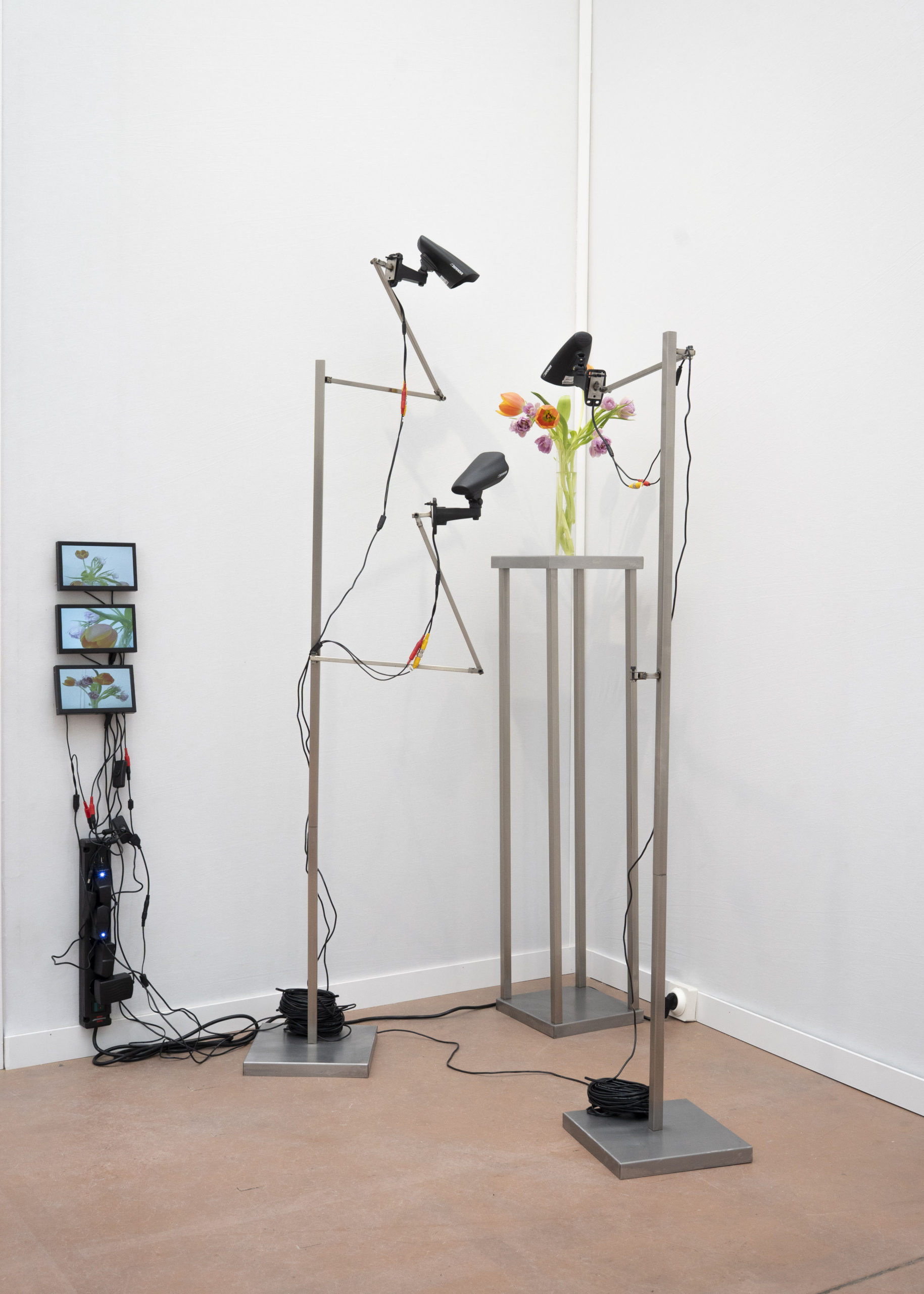 Rolf Art & Tomas Redrado Art | Installation view 23