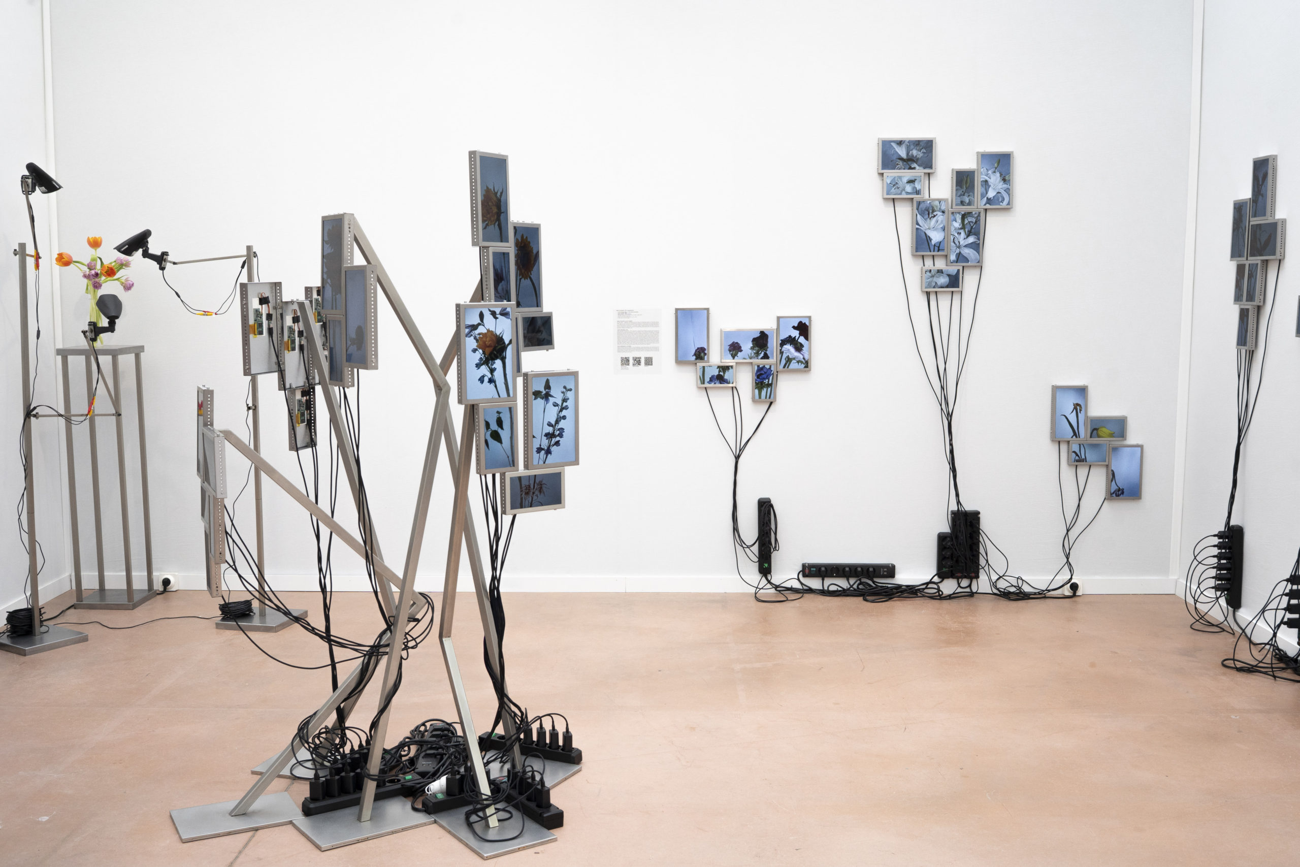 Rolf Art & Tomas Redrado Art | Installation view 24