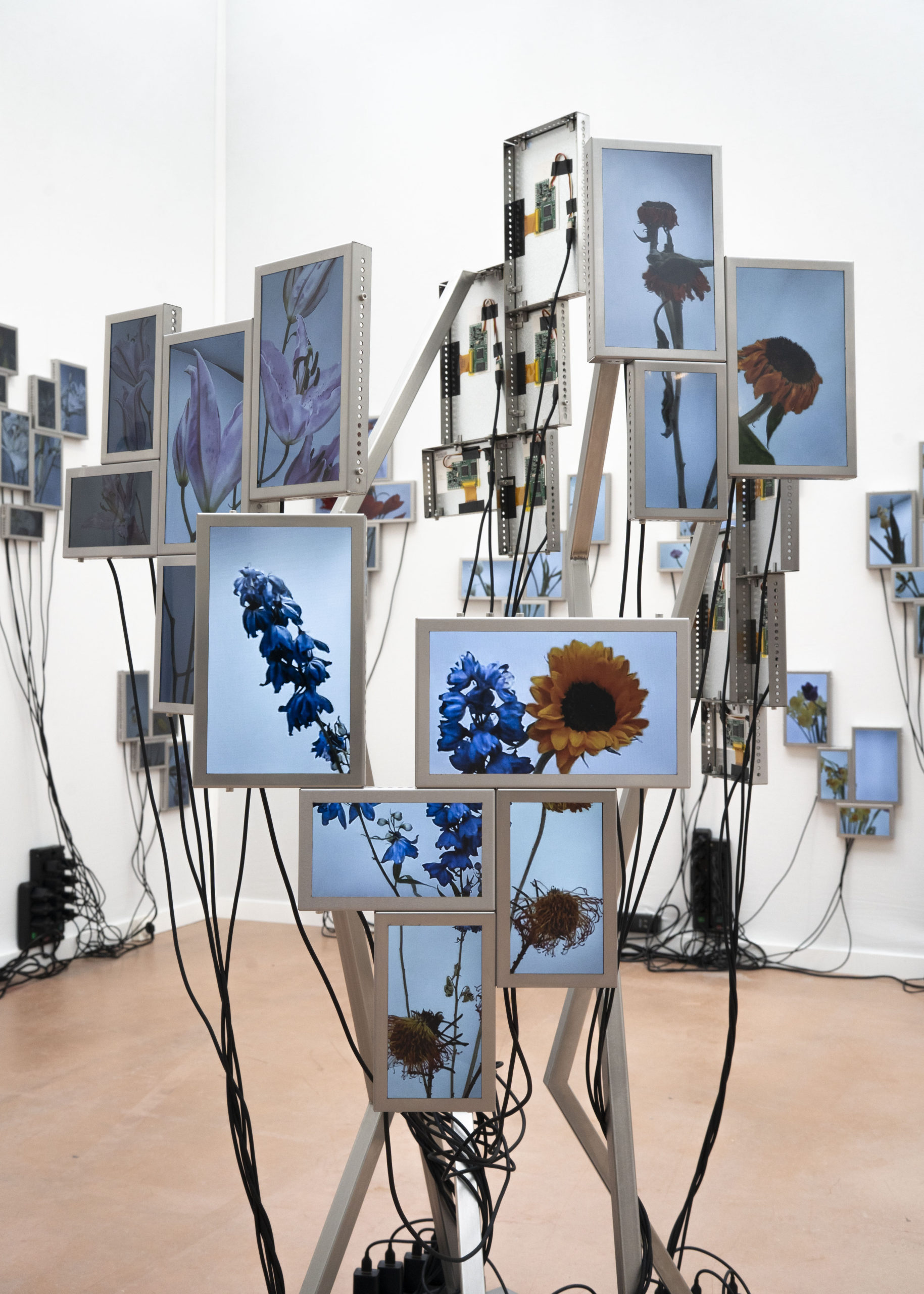 Rolf Art & Tomas Redrado Art | Installation view 25