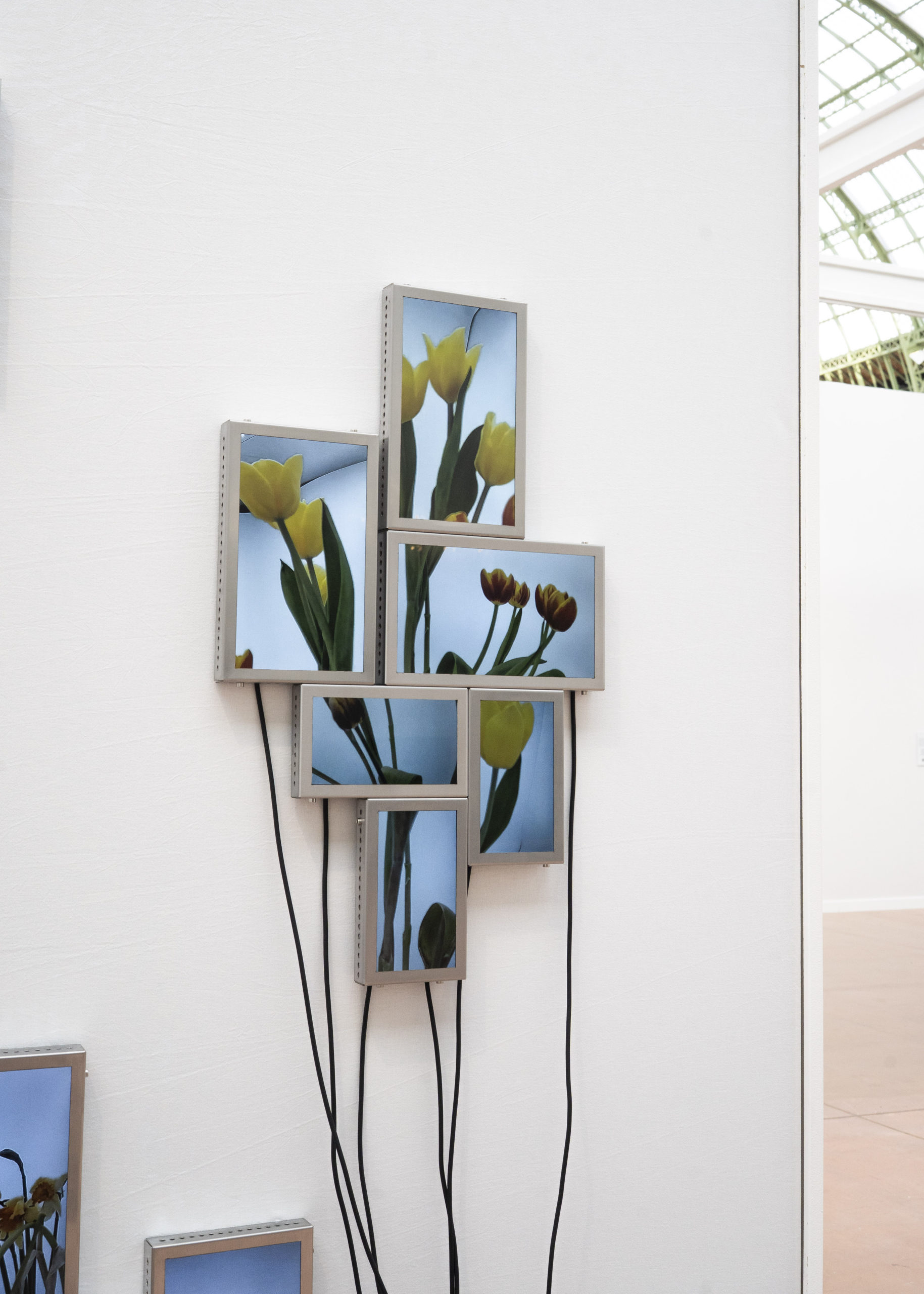 Rolf Art & Tomas Redrado Art | Installation view 26