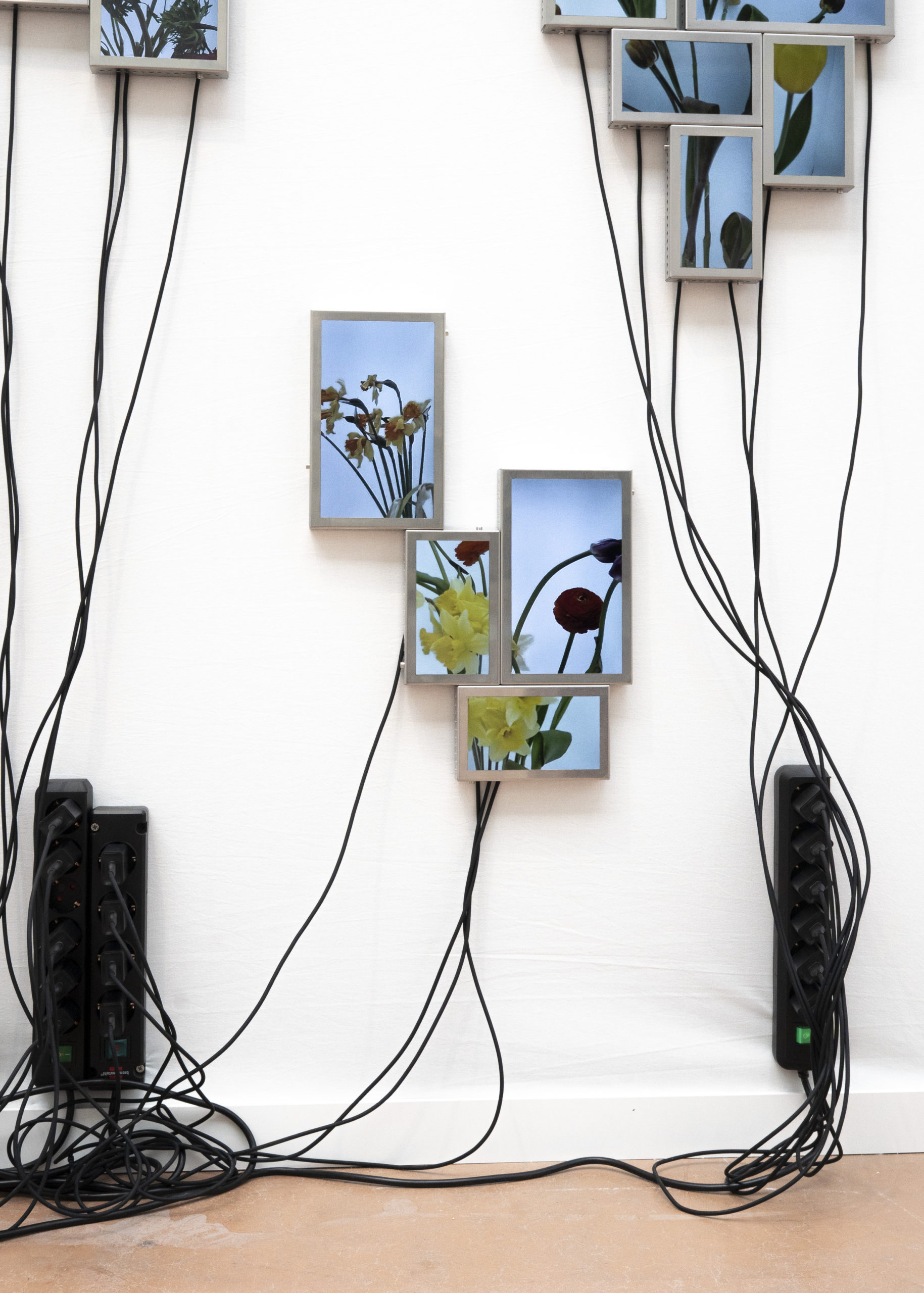 Rolf Art & Tomas Redrado Art | Installation view 27