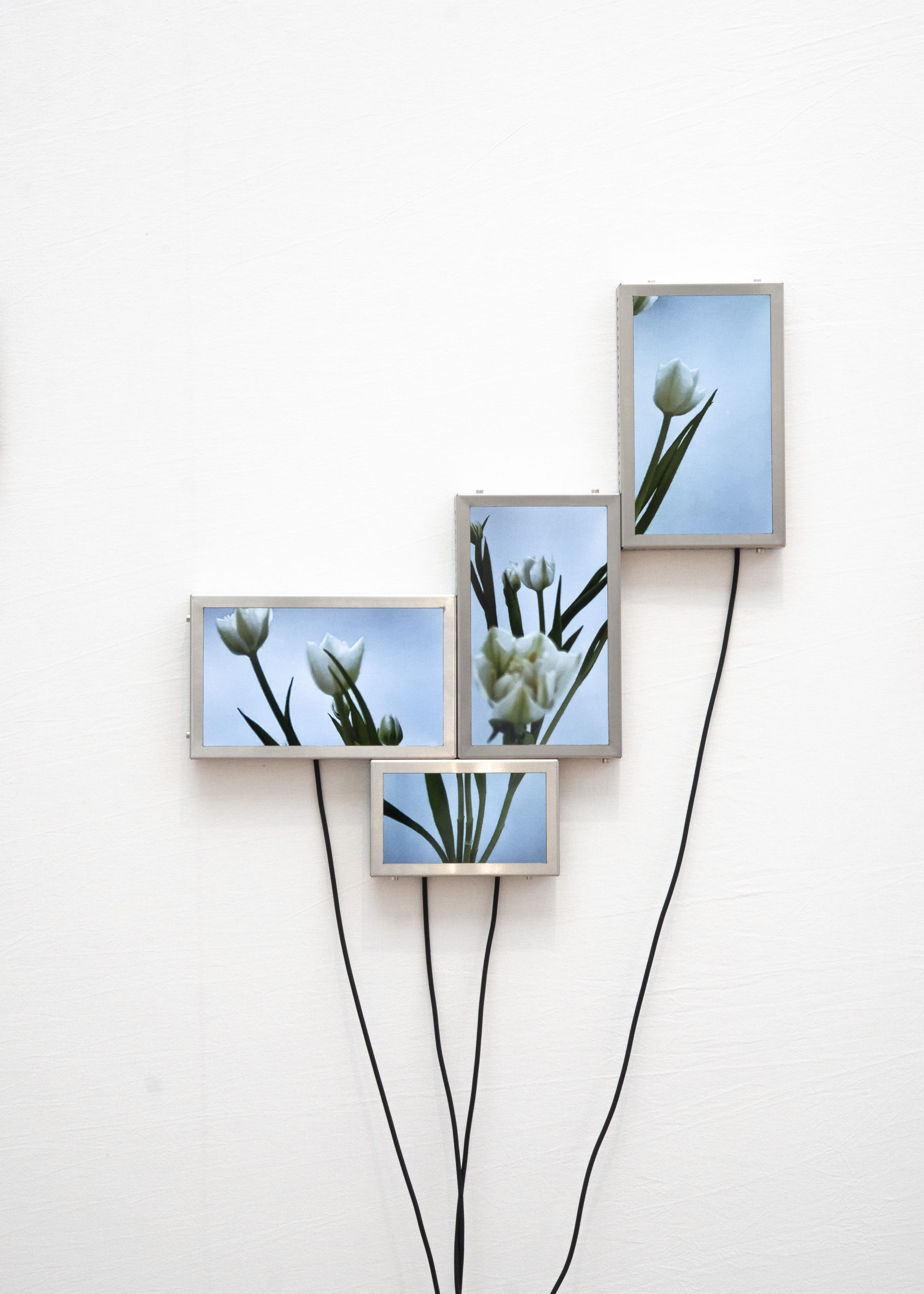 Rolf Art & Tomas Redrado Art | Installation view 28