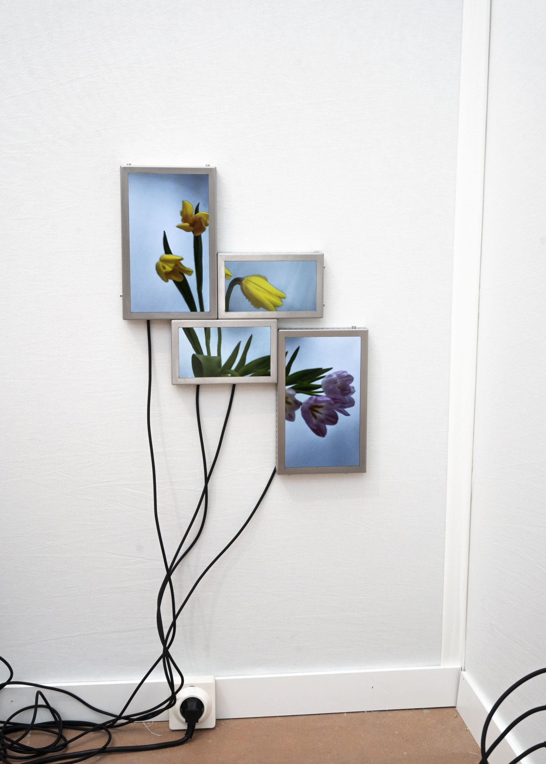 Rolf Art & Tomas Redrado Art | Installation view 29