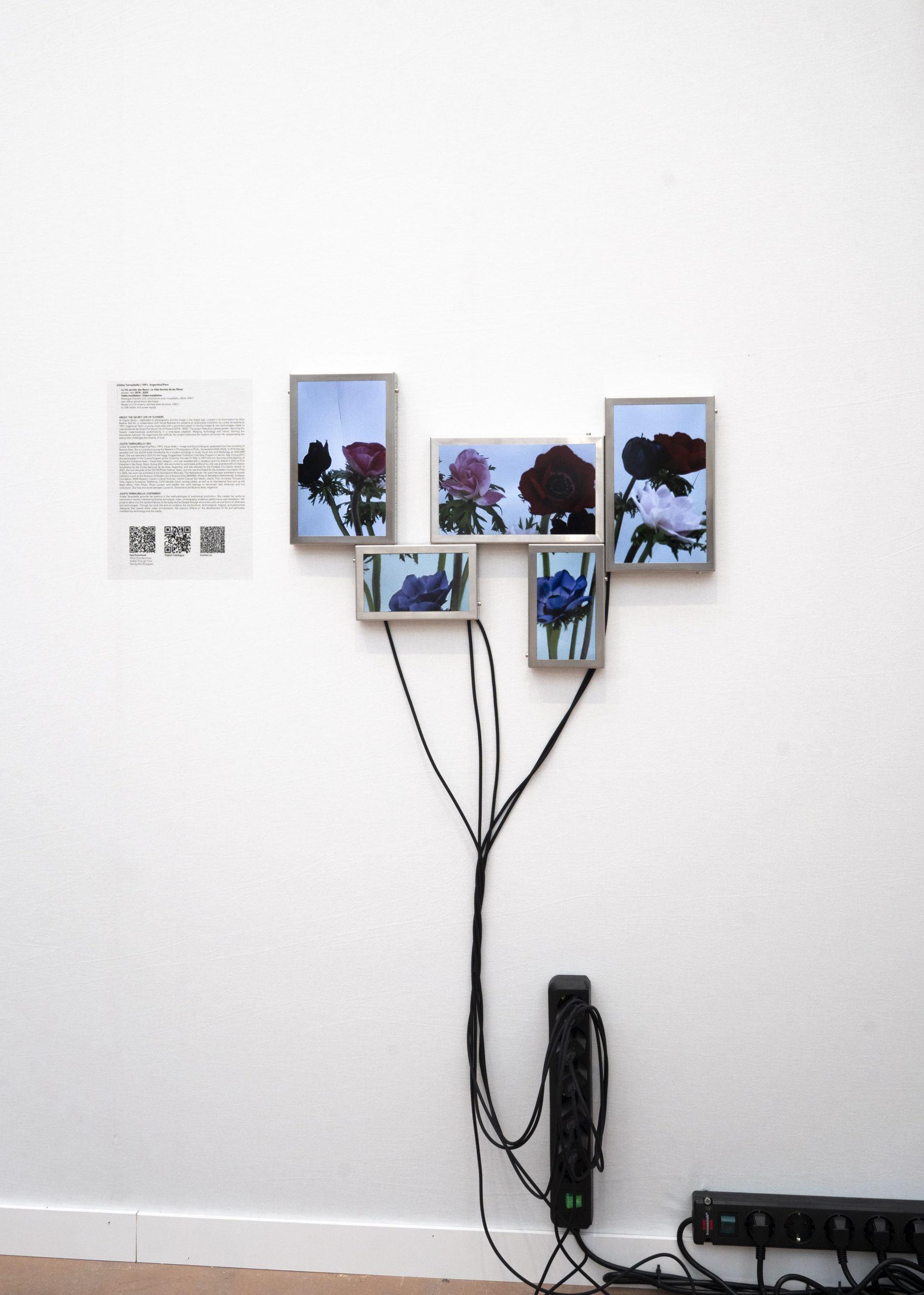 Rolf Art & Tomas Redrado Art | Installation view 30