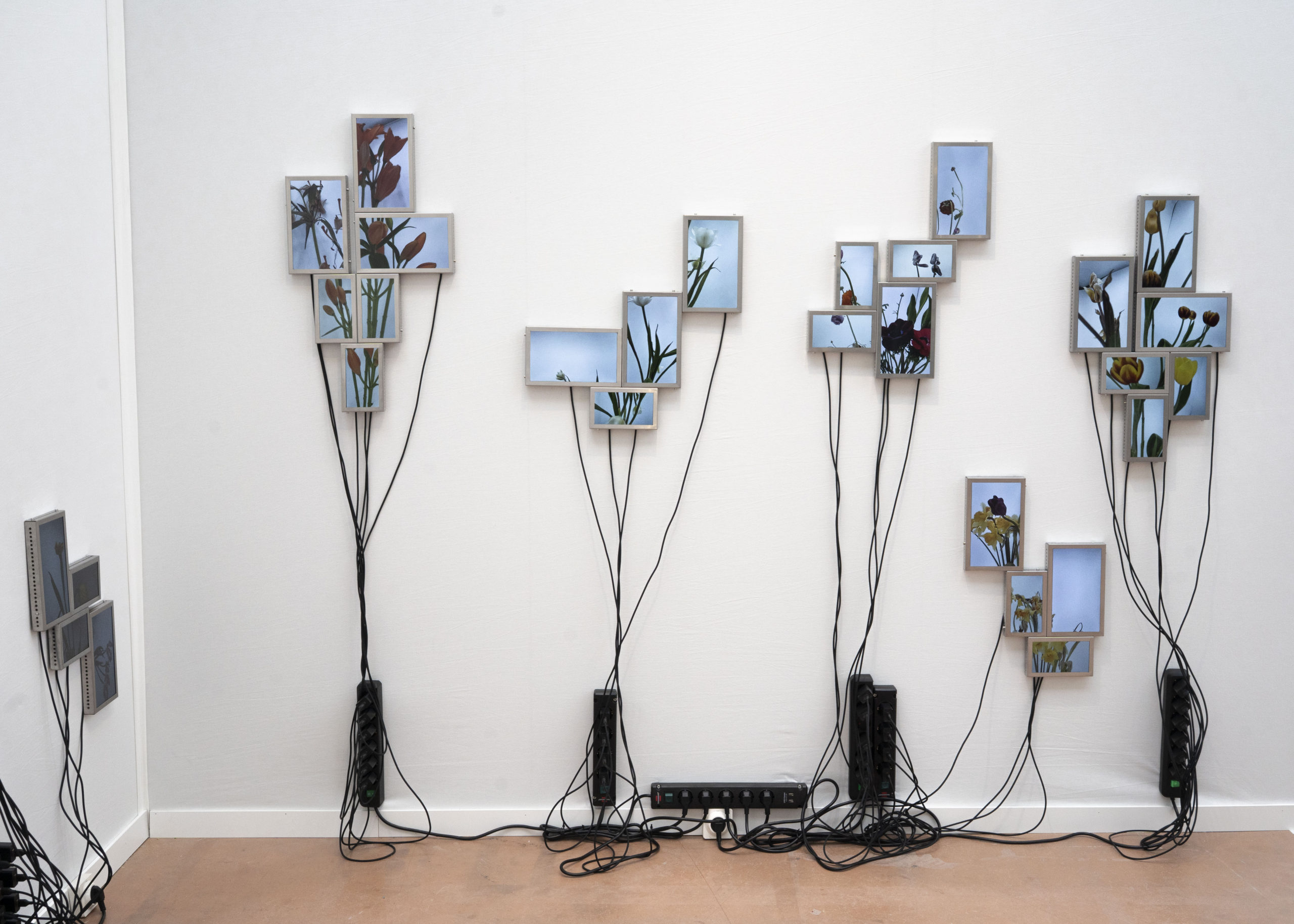 Rolf Art & Tomas Redrado Art | Installation view 31