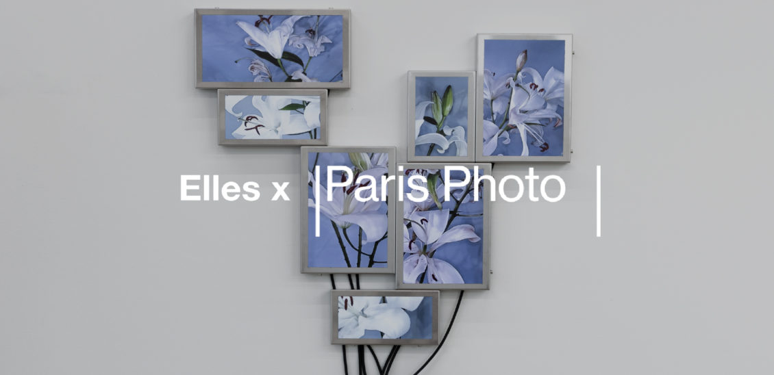 ELLES x PARIS PHOTO 2025 <br> Digital Sector | Julieta Tarraubella