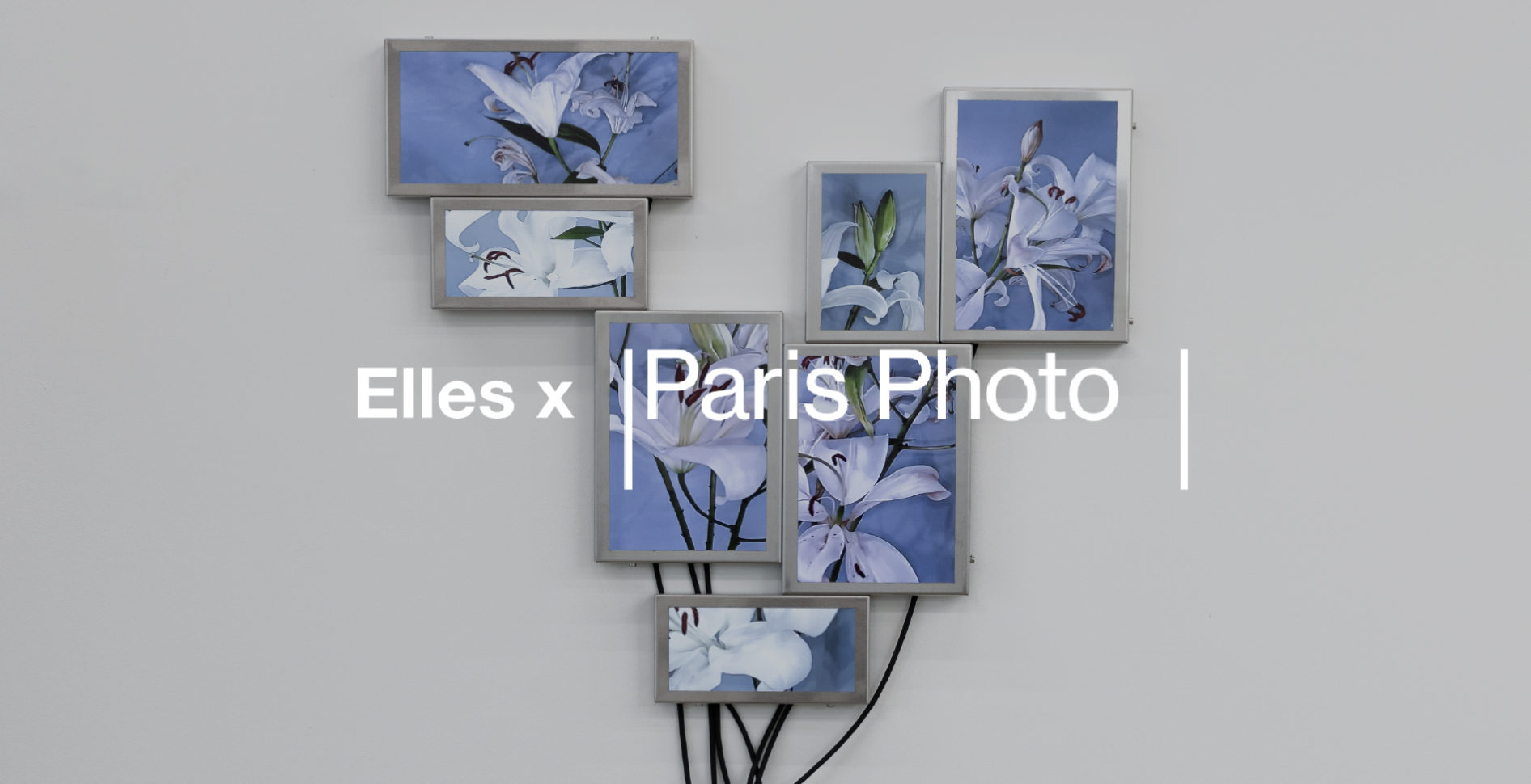 ELLES x PARIS PHOTO 2025 <br> Digital Sector | Julieta Tarraubella