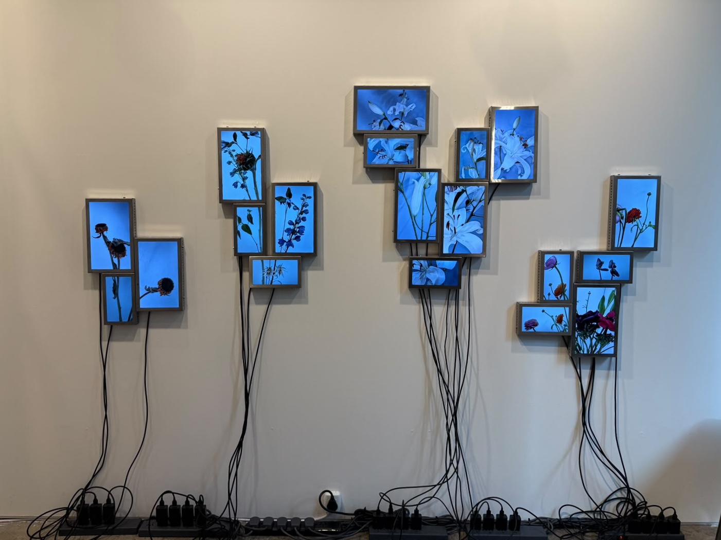 Rolf Art | Arte Pequeño Formato 26 | Installation View 08