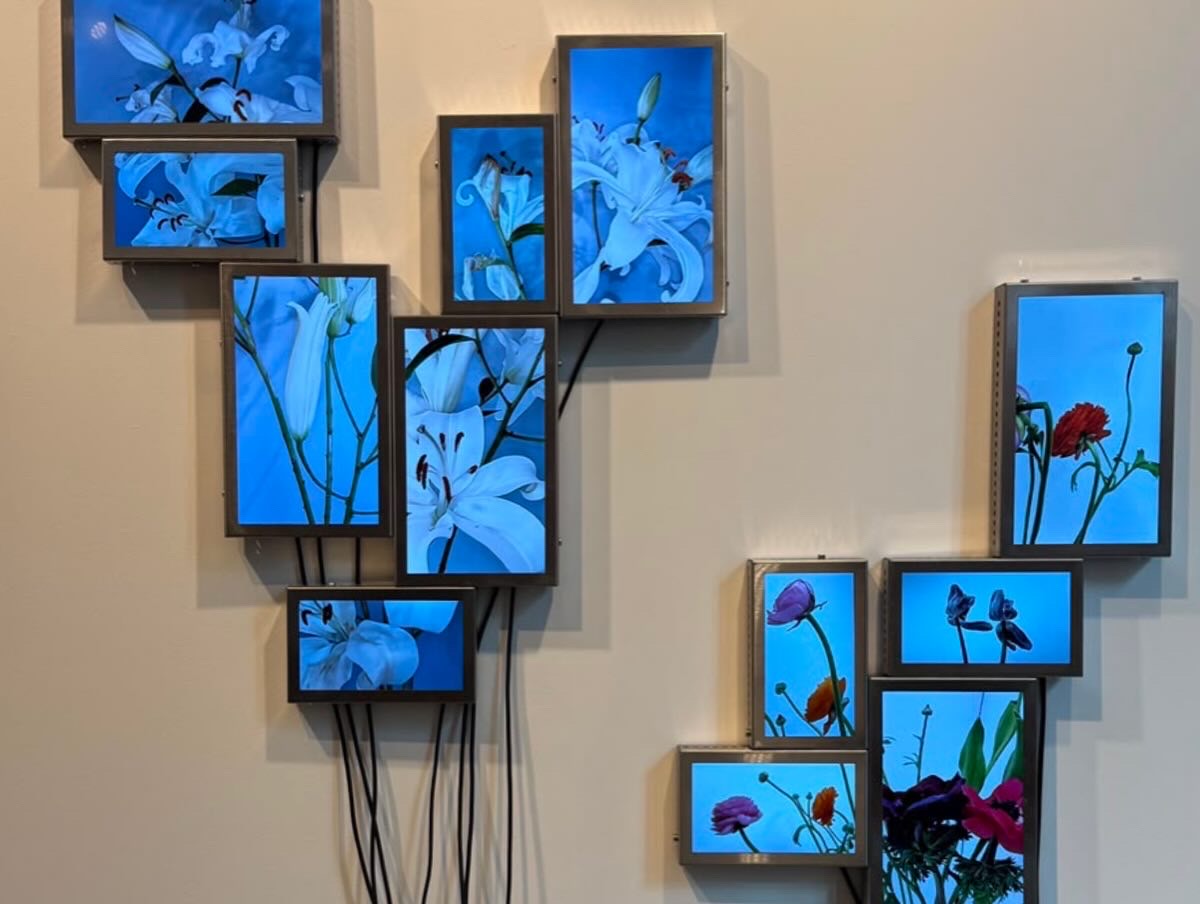 Rolf Art | Arte Pequeño Formato 26 | Installation View 09