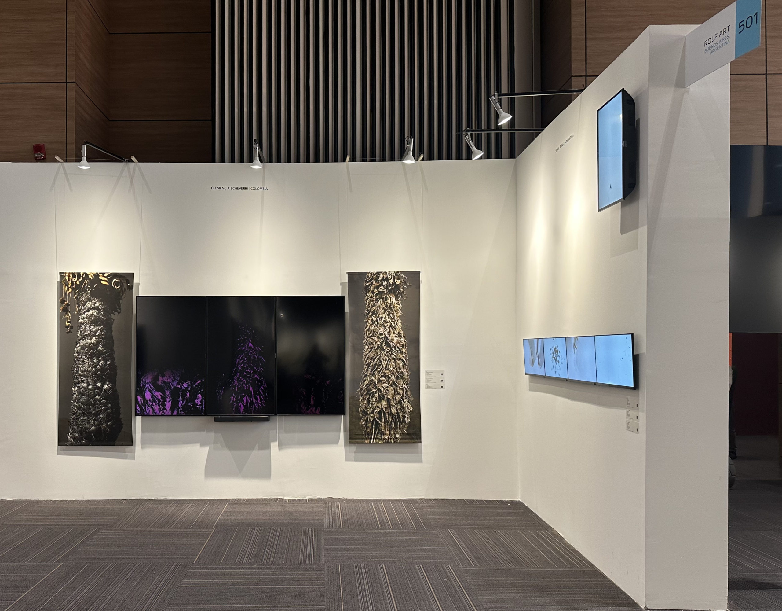 Clemencia Echeverri | Installation view (#1)