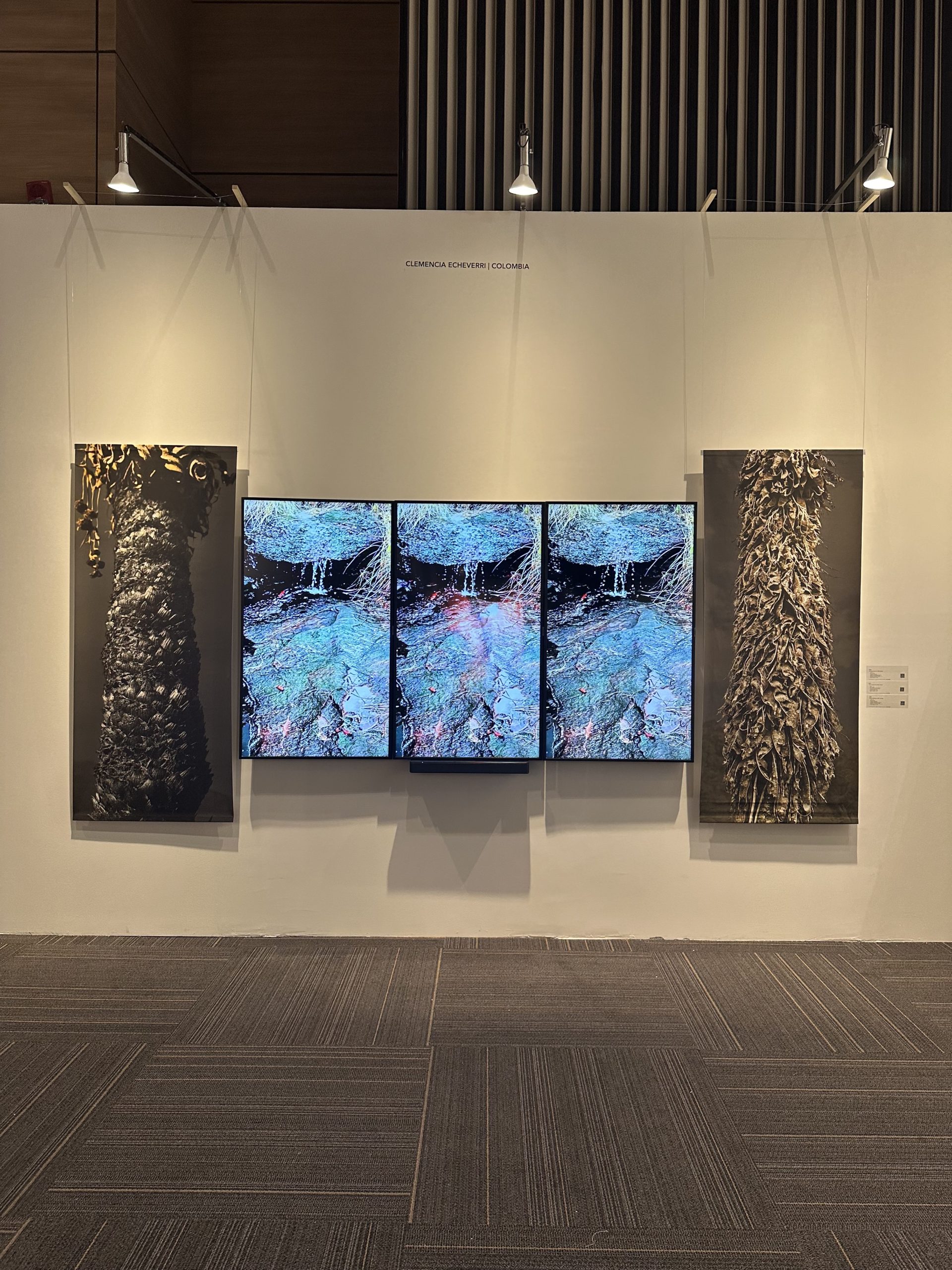 Clemencia Echeverri | Installation view (#2)