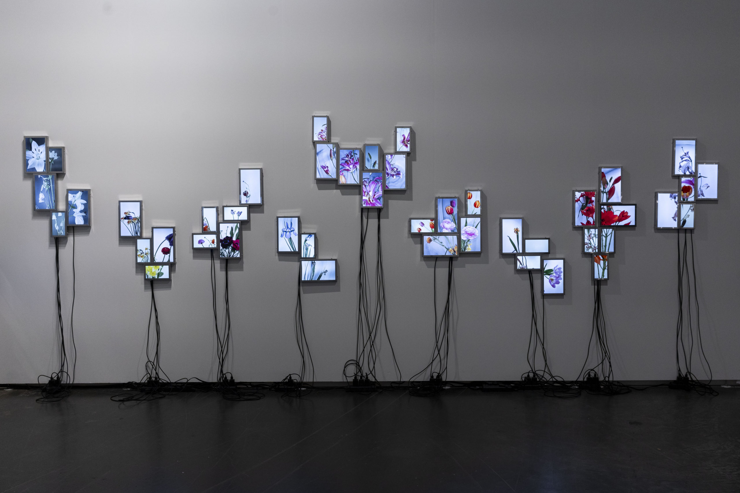 Rolf Art_ABMB 2024_Positions_Julieta Tarraubella_La vida secreta de las flores_17
