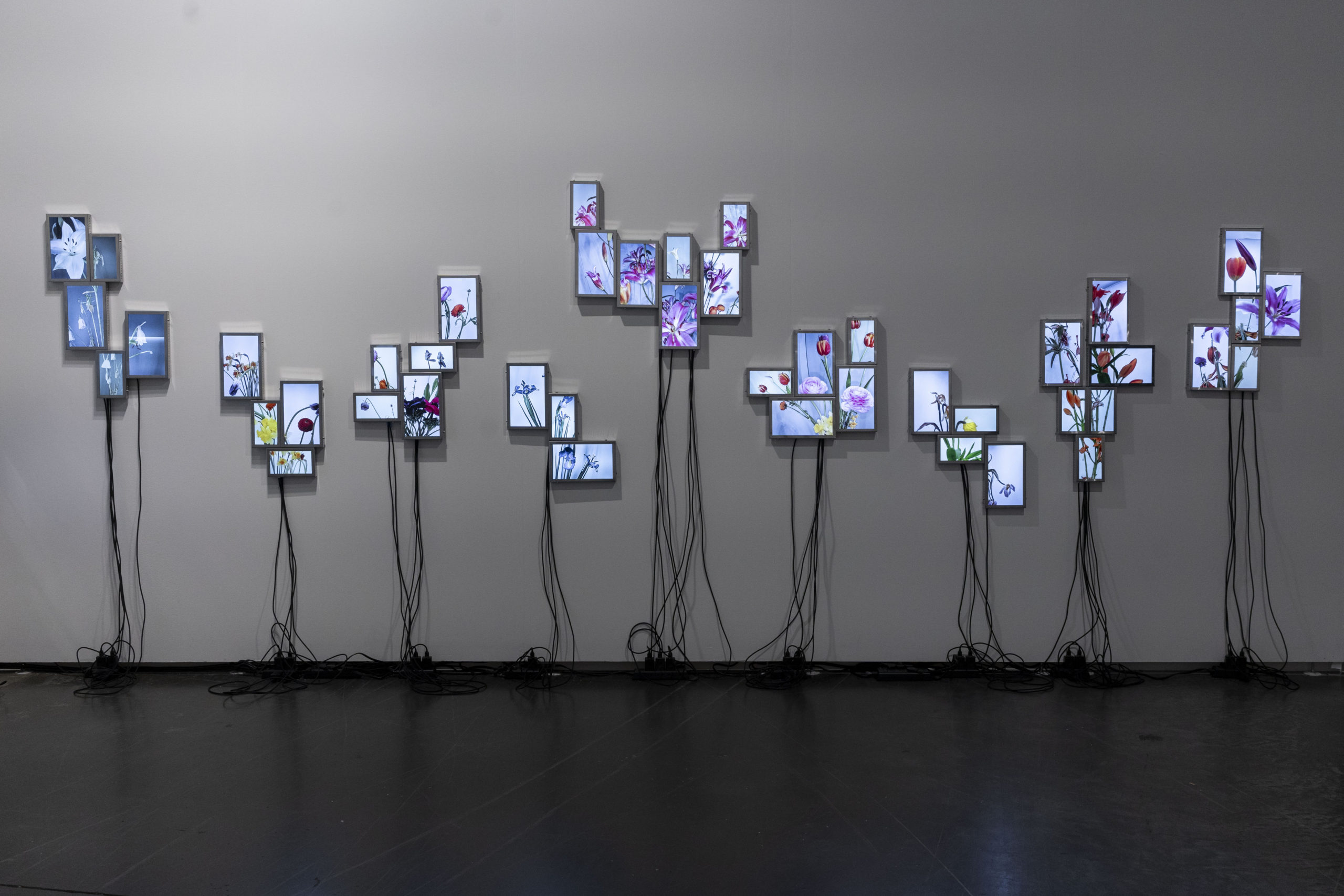 Rolf Art_ABMB 2024_Positions_Julieta Tarraubella_La vida secreta de las flores_20