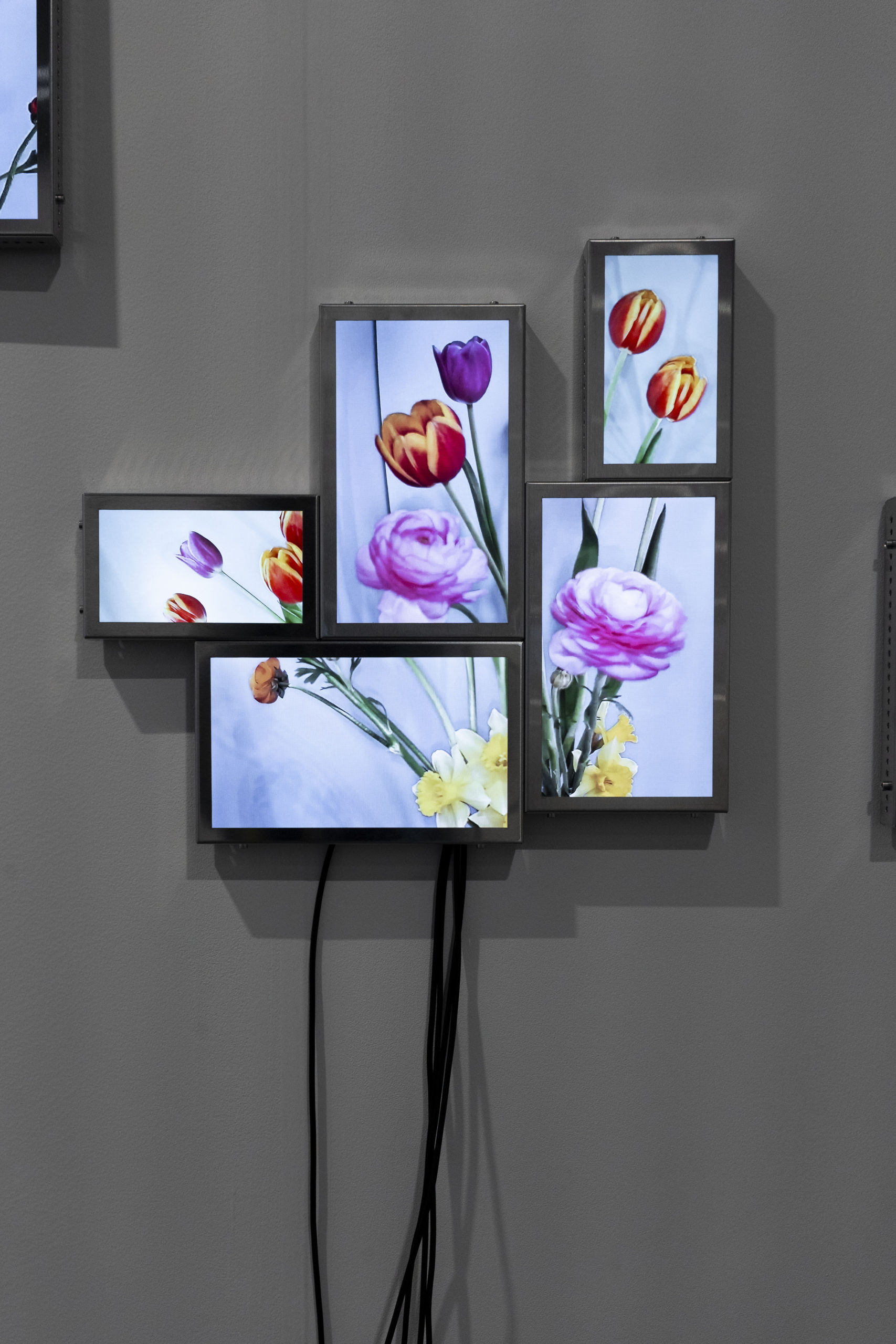 Rolf Art_ABMB 2024_Positions_Julieta Tarraubella_La vida secreta de las flores_26