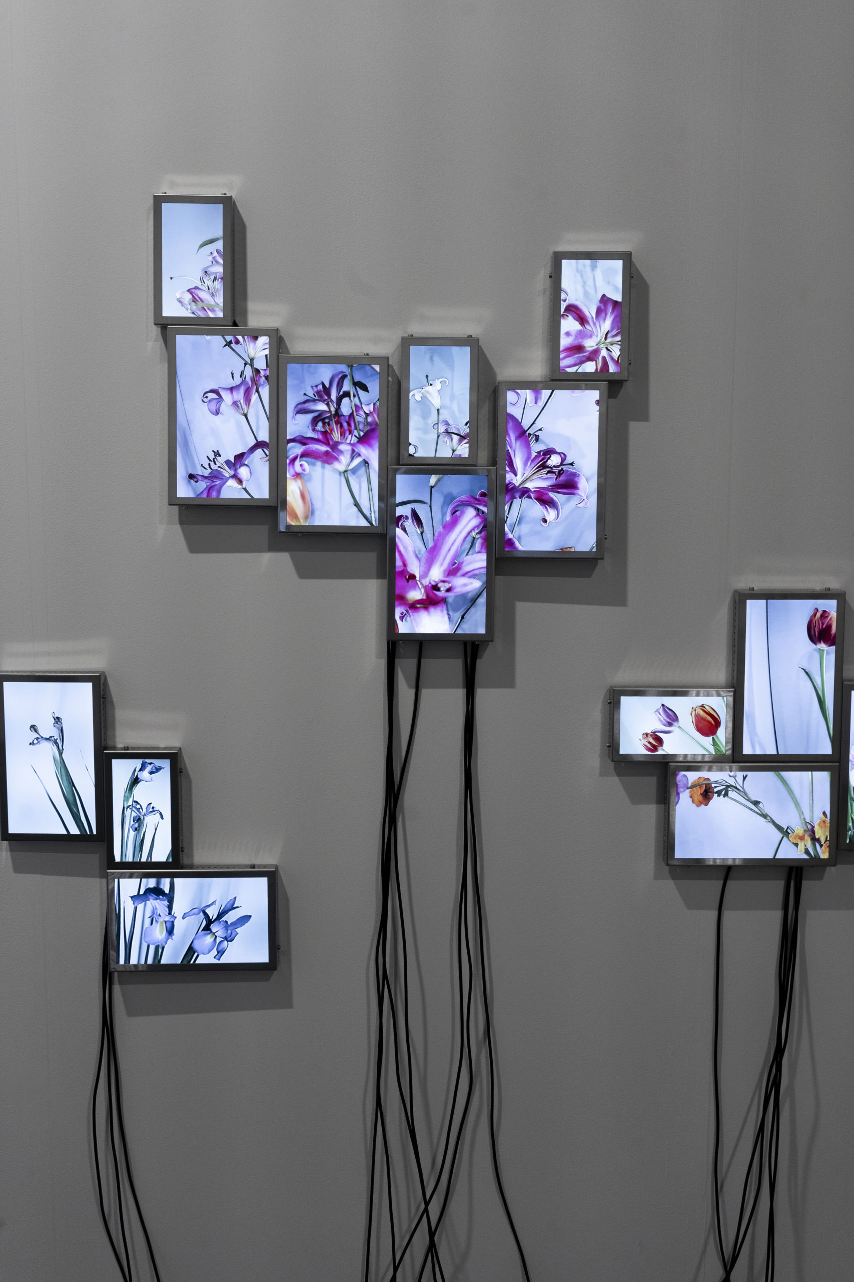 Rolf Art_ABMB 2024_Positions_Julieta Tarraubella_La vida secreta de las flores_33