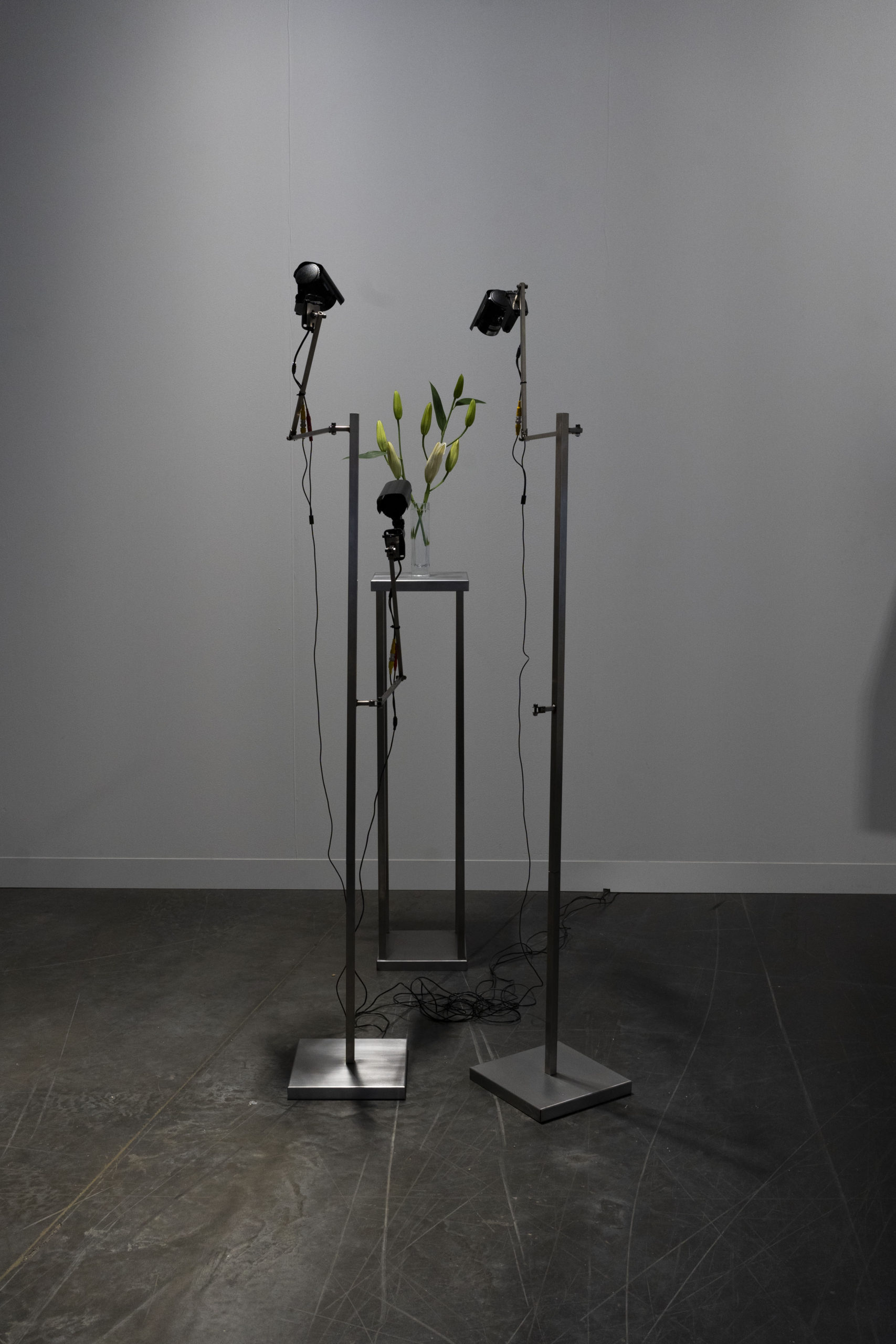 Rolf Art_ABMB 2024_Positions_Julieta Tarraubella_La vida secreta de las flores_51