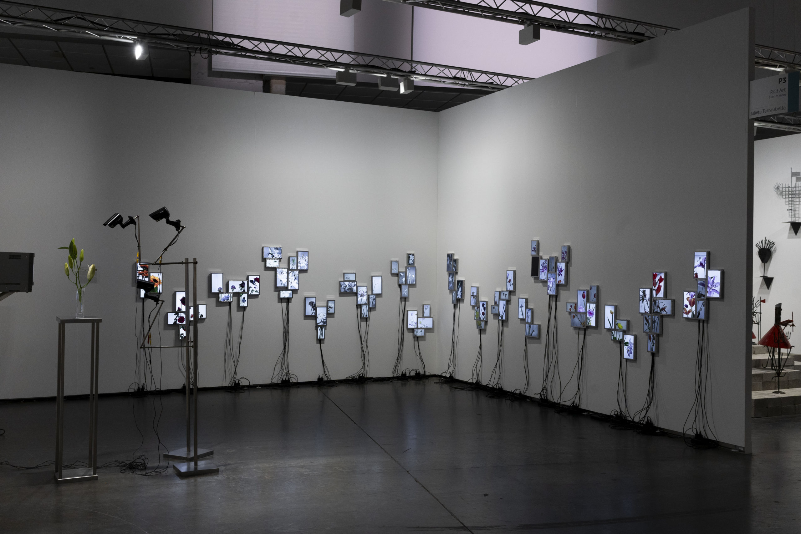 Rolf Art_ABMB 2024_Positions_Julieta Tarraubella_La vida secreta de las flores_75